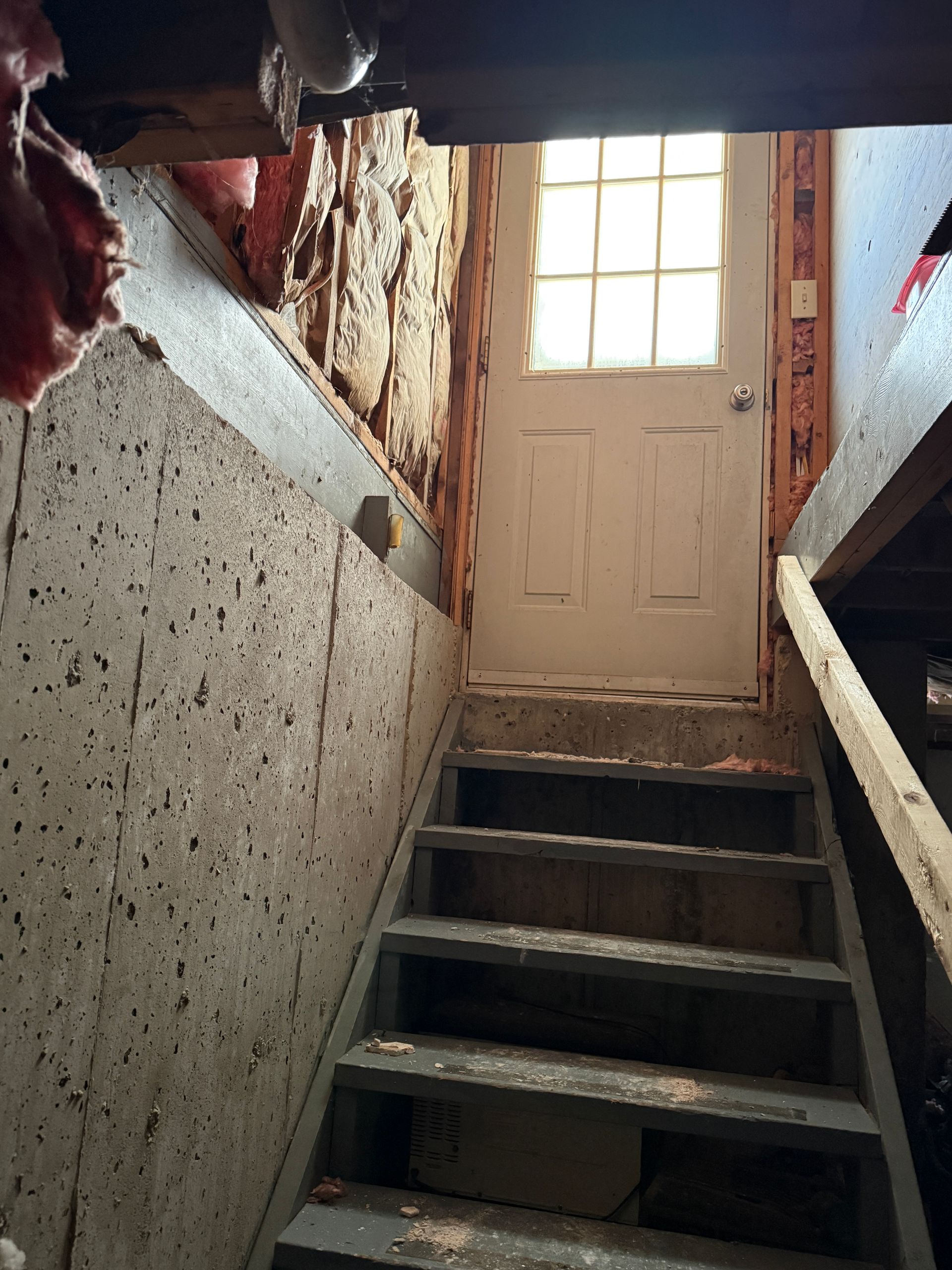 Concrete basement stairs leading to a door with glass panels.