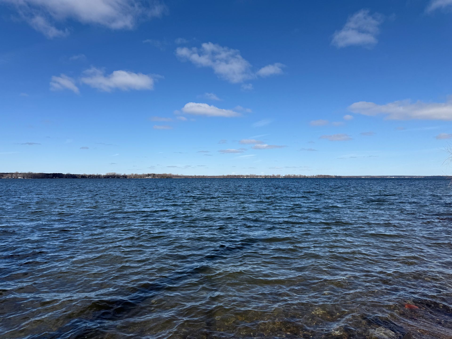 Blue water under a blue sky with sparse clouds; a distant shoreline is visible.