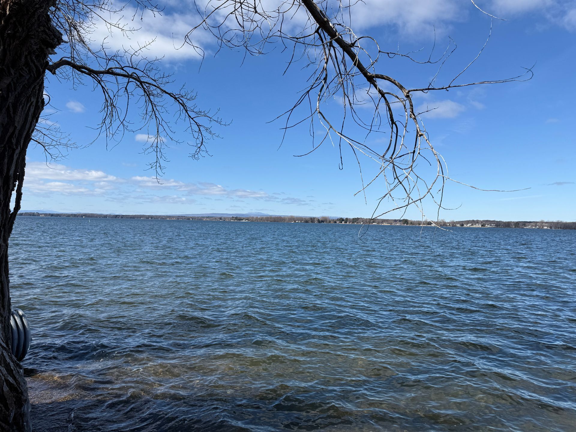 Bare tree branches frame a view of a rippling blue lake under a bright sky.