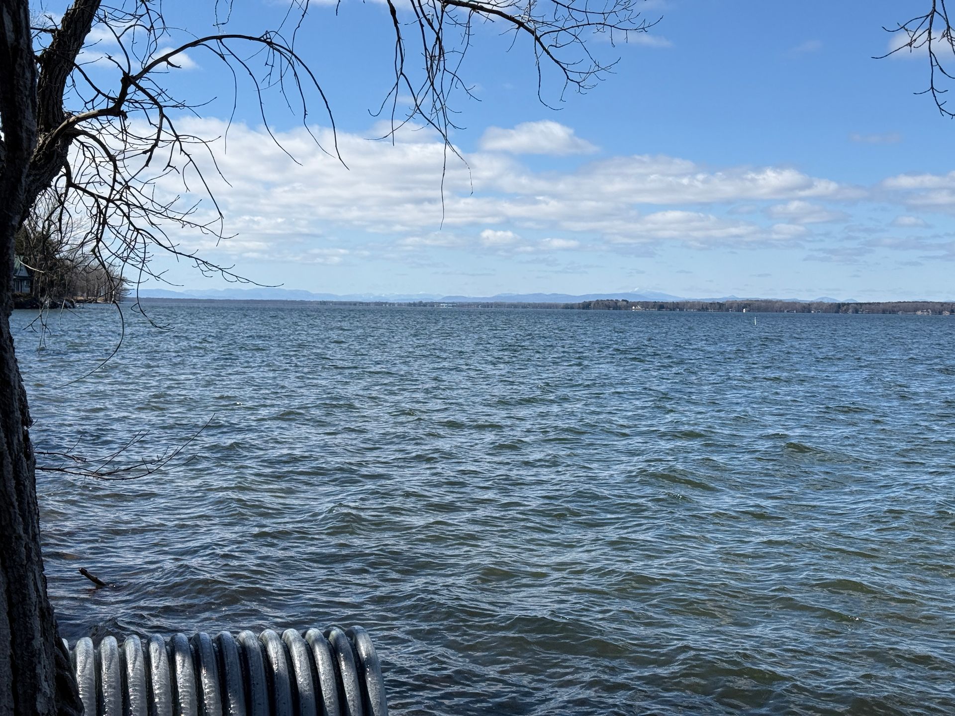 Lake with rippling water under a bright blue sky with wispy clouds; a tree and a culvert in the foreground.
