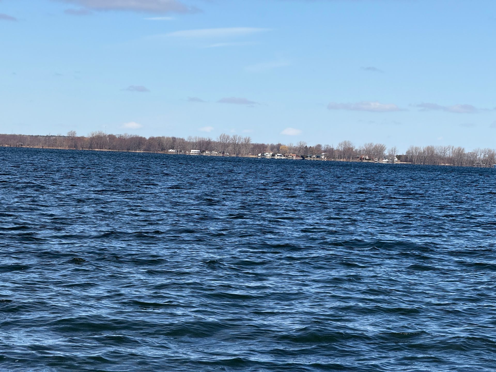 Blue water with ripples under a clear blue sky, distant treeline.
