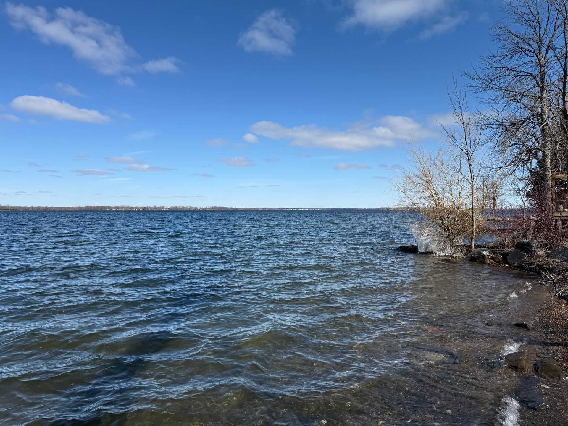 Blue water lake under a partly cloudy sky, near a shoreline with bare trees.