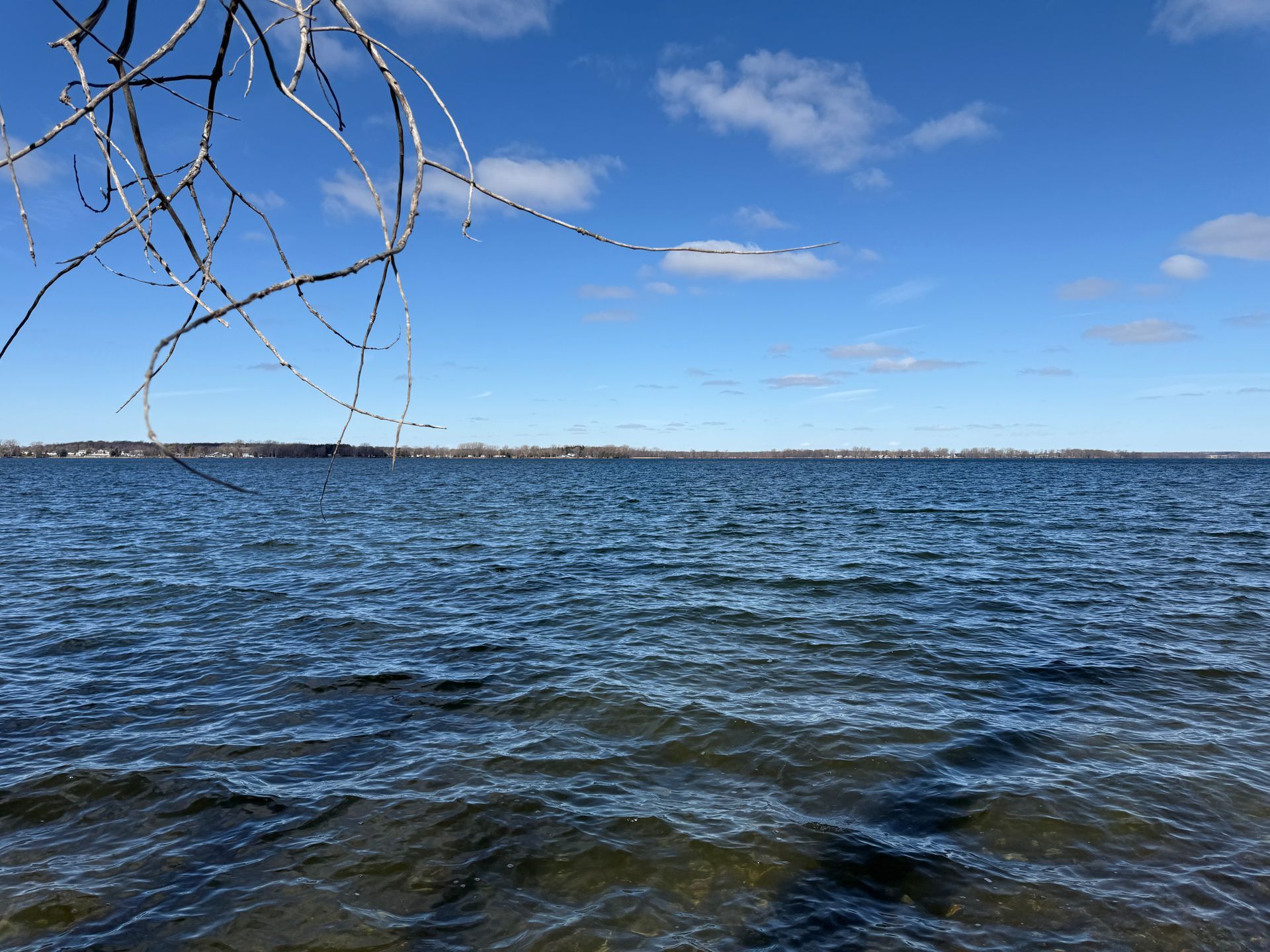 Blue water with gentle waves under a clear, bright blue sky with wispy clouds. Bare tree branch in the corner.