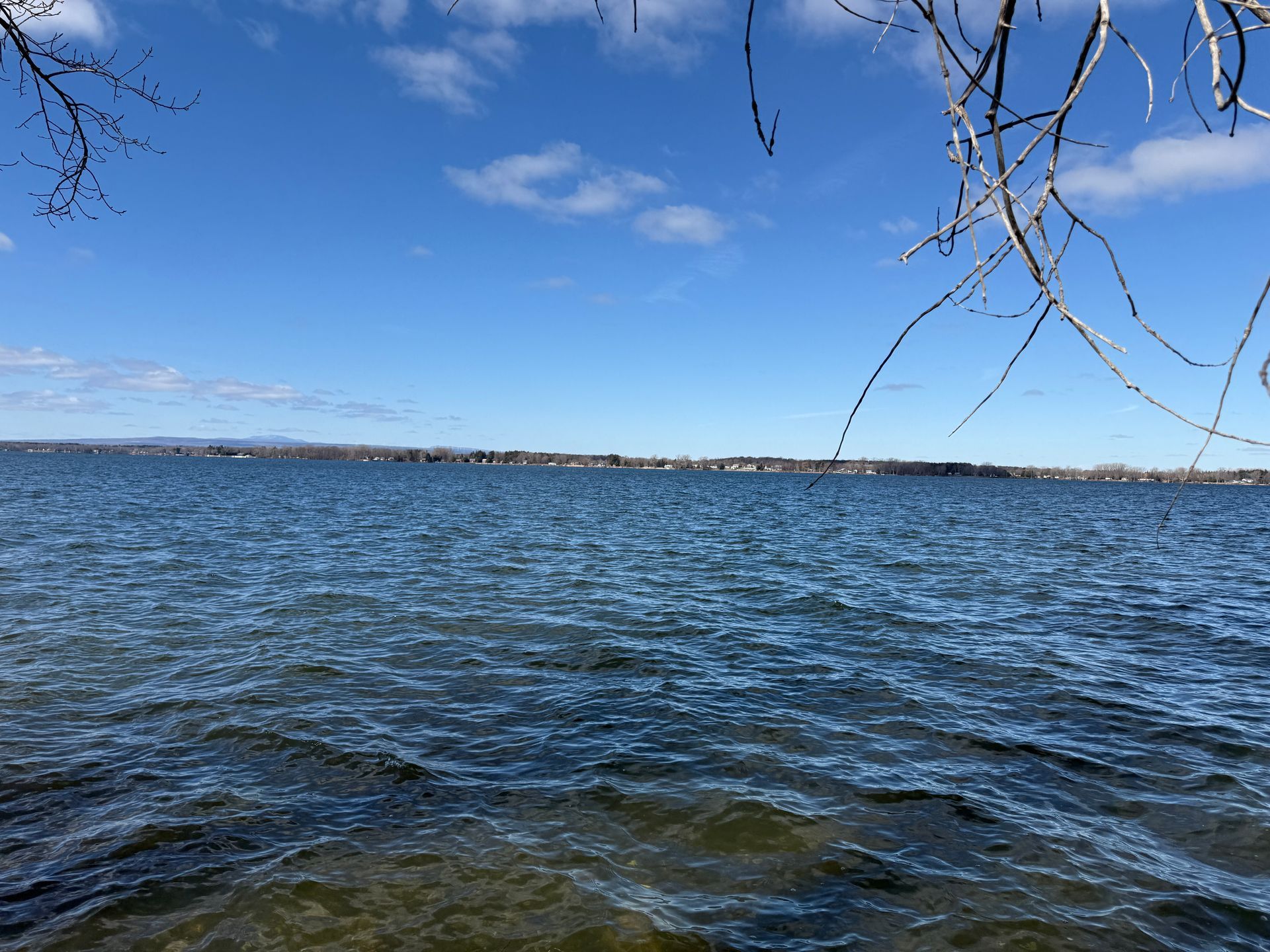 Blue water under a clear sky. Bare tree branches frame the top; distant shoreline visible.