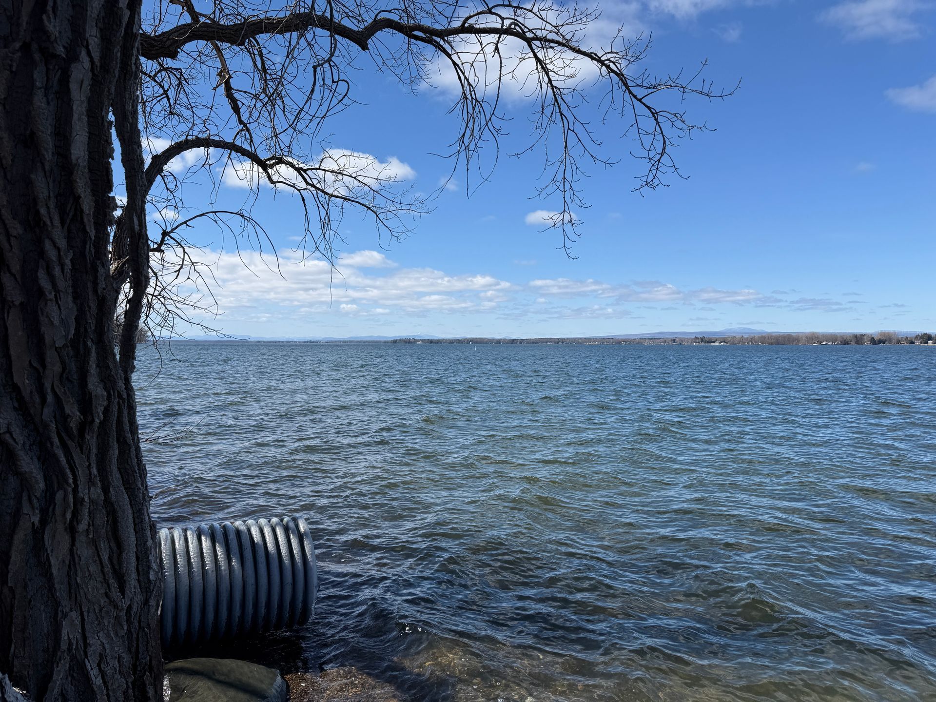 Waterfront scene: tree, rippling water, blue sky with clouds, culvert.