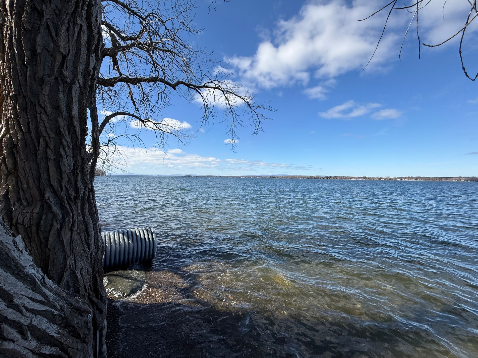 Tree trunk next to water with a corrugated pipe. Blue sky with clouds in the background.