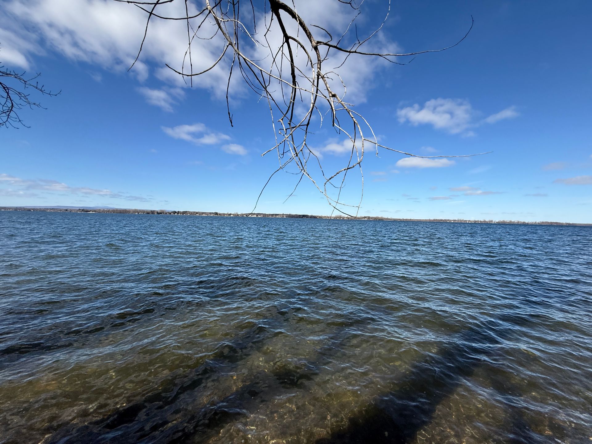 Blue water with small waves under a bright blue sky with white clouds; tree branches frame the top.