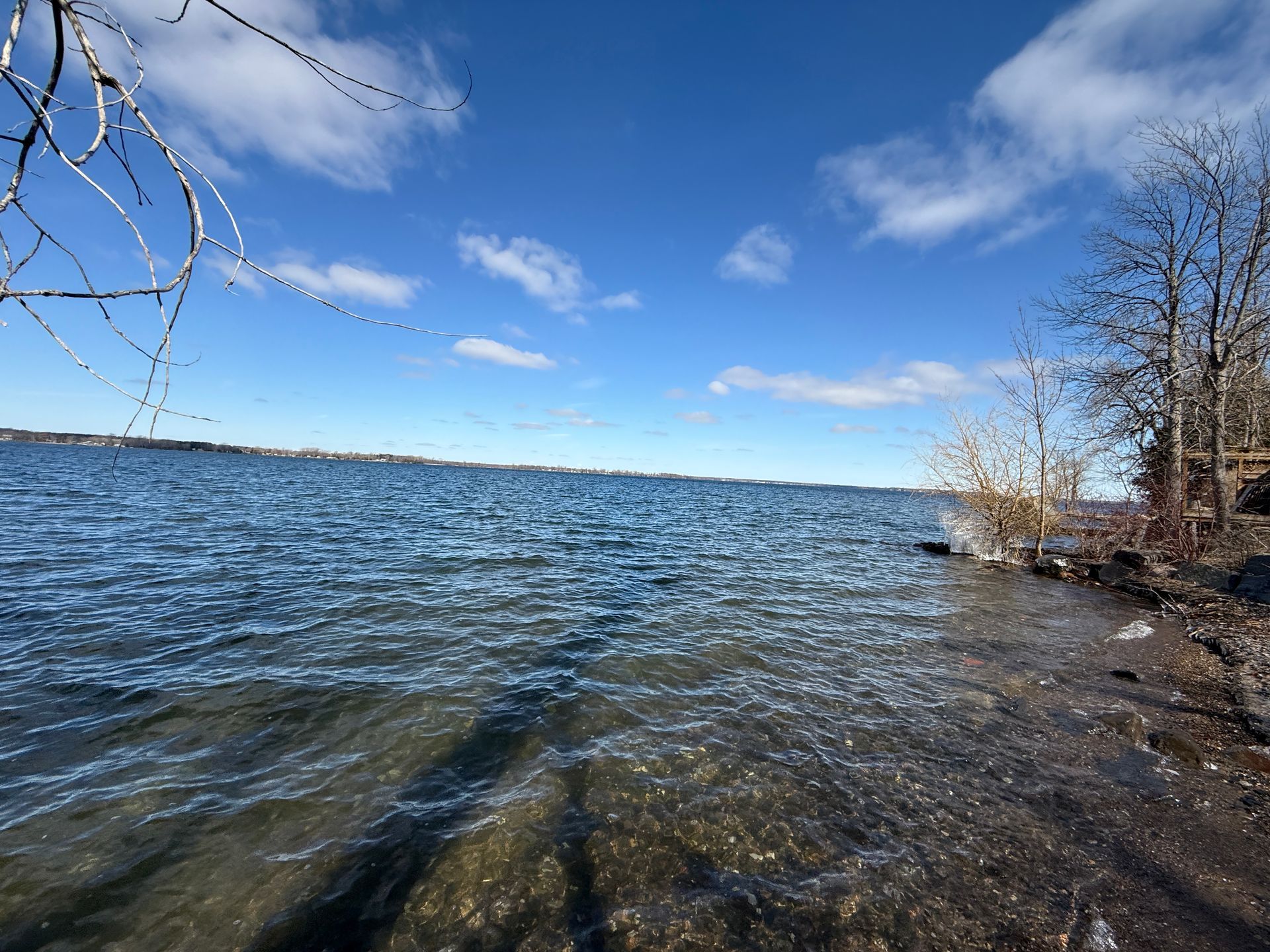 Waves on a blue lake under a sunny sky with wispy clouds. Bare trees line the shore.