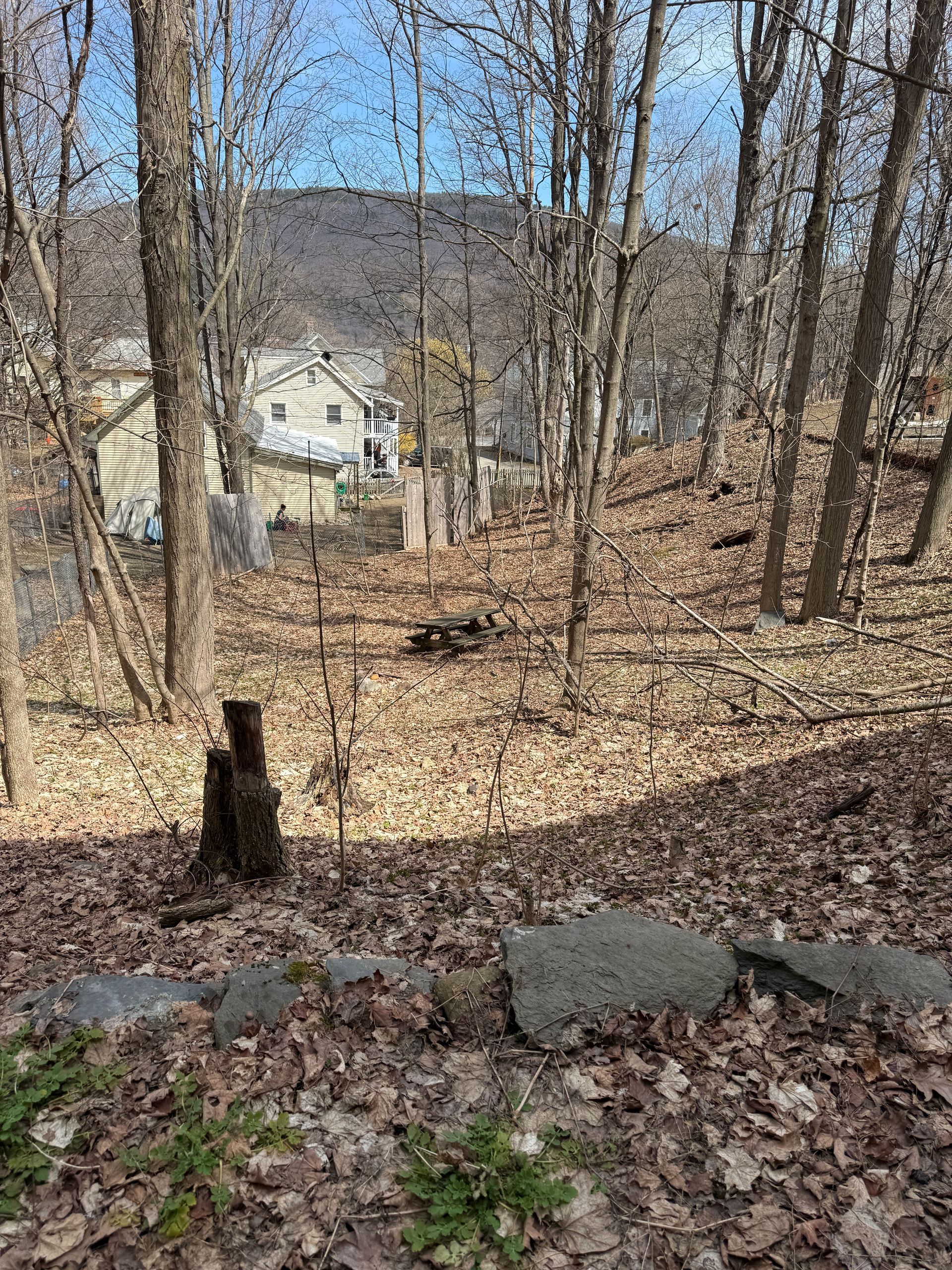 A wooded, sloped backyard. Trees frame a path leading to houses. Ground covered in leaves.