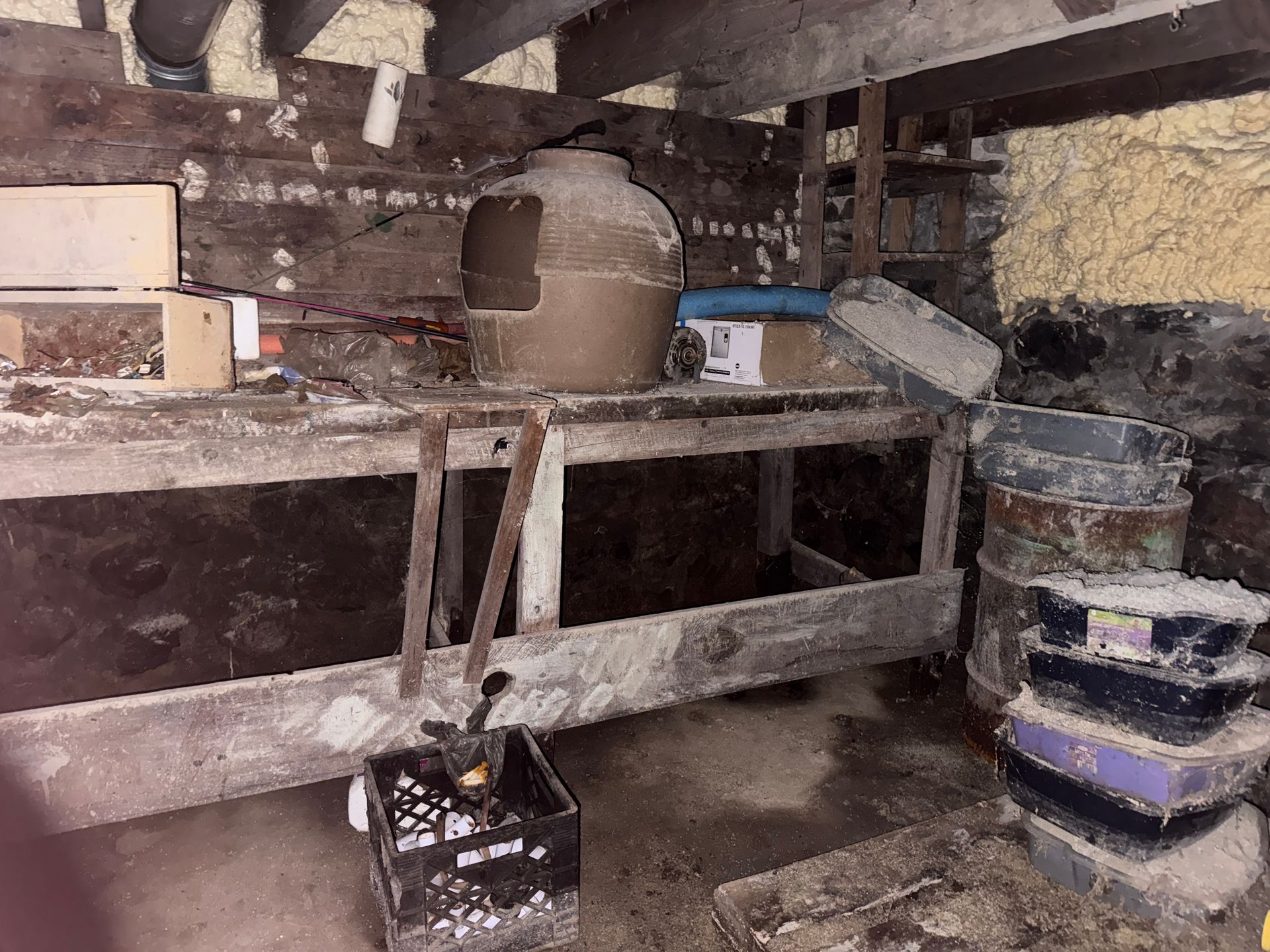 Basement with wooden shelves, buckets, a jug, and a black crate on the floor.