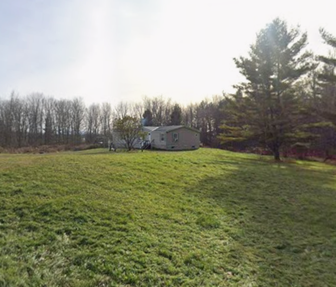 Grassy field with a small house and trees under a bright sky