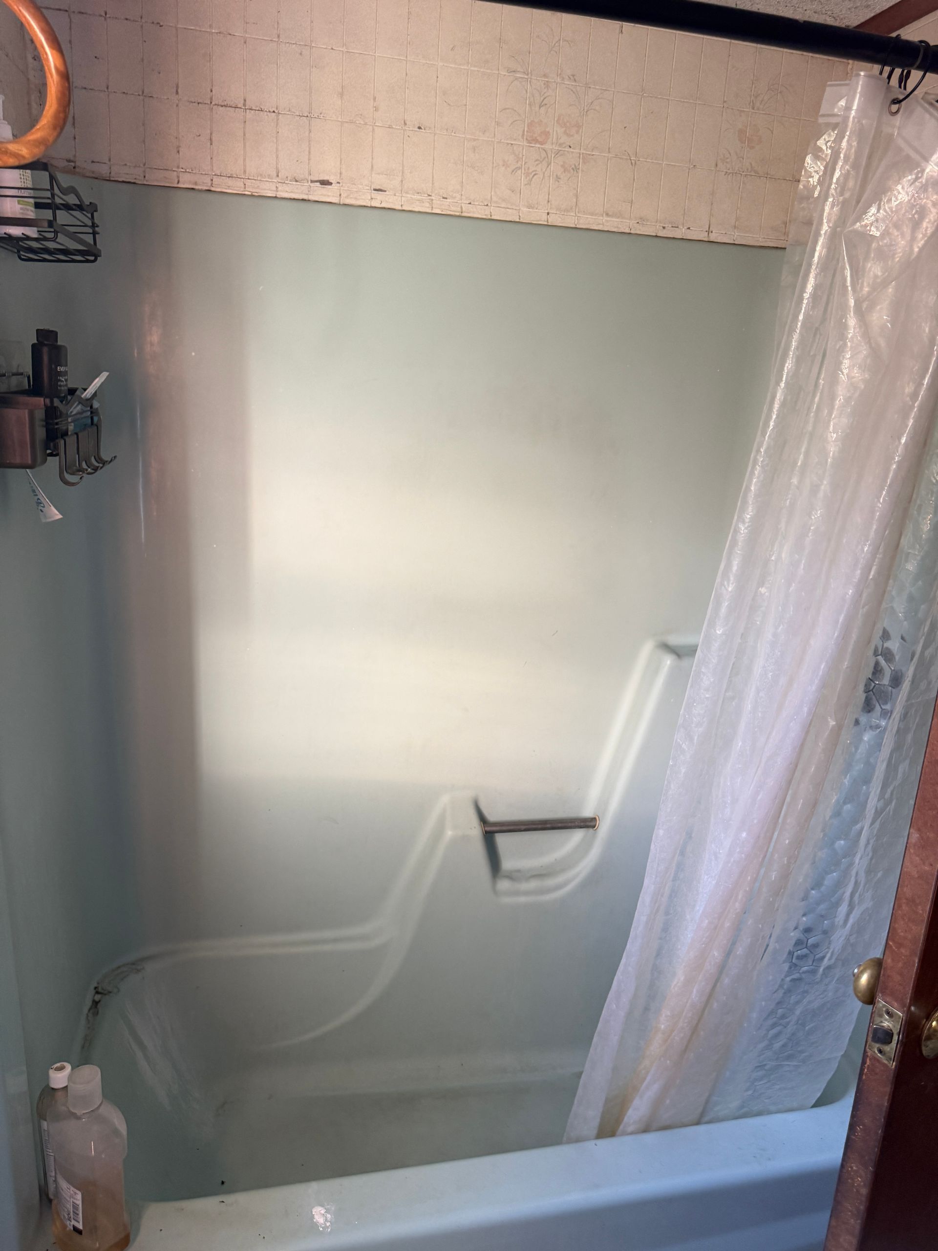 Empty bathroom shower stall with pale green walls, white grab bar, and clear shower curtain