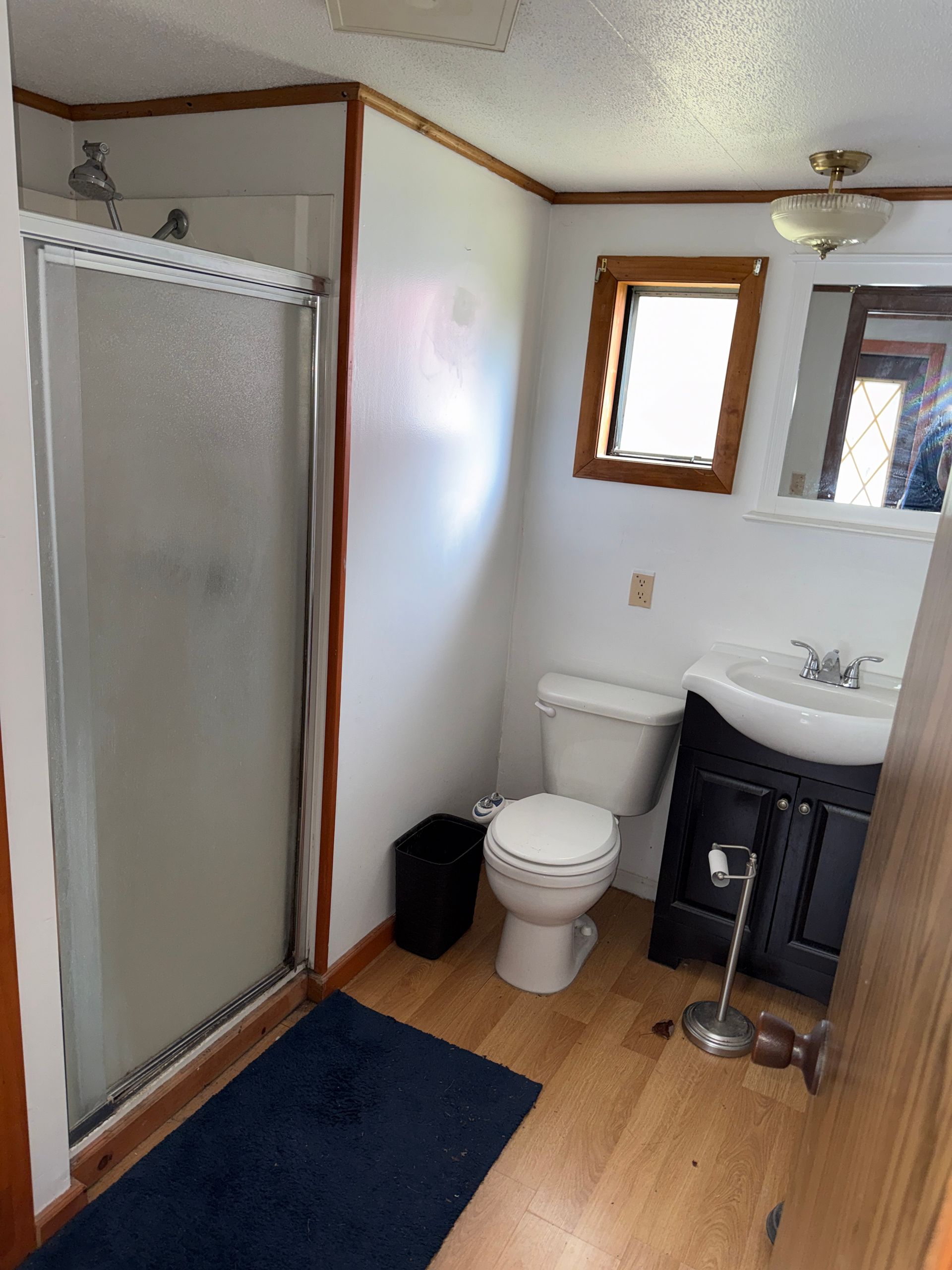 Small bathroom with shower, toilet, sink vanity, blue rug, and wood floor.