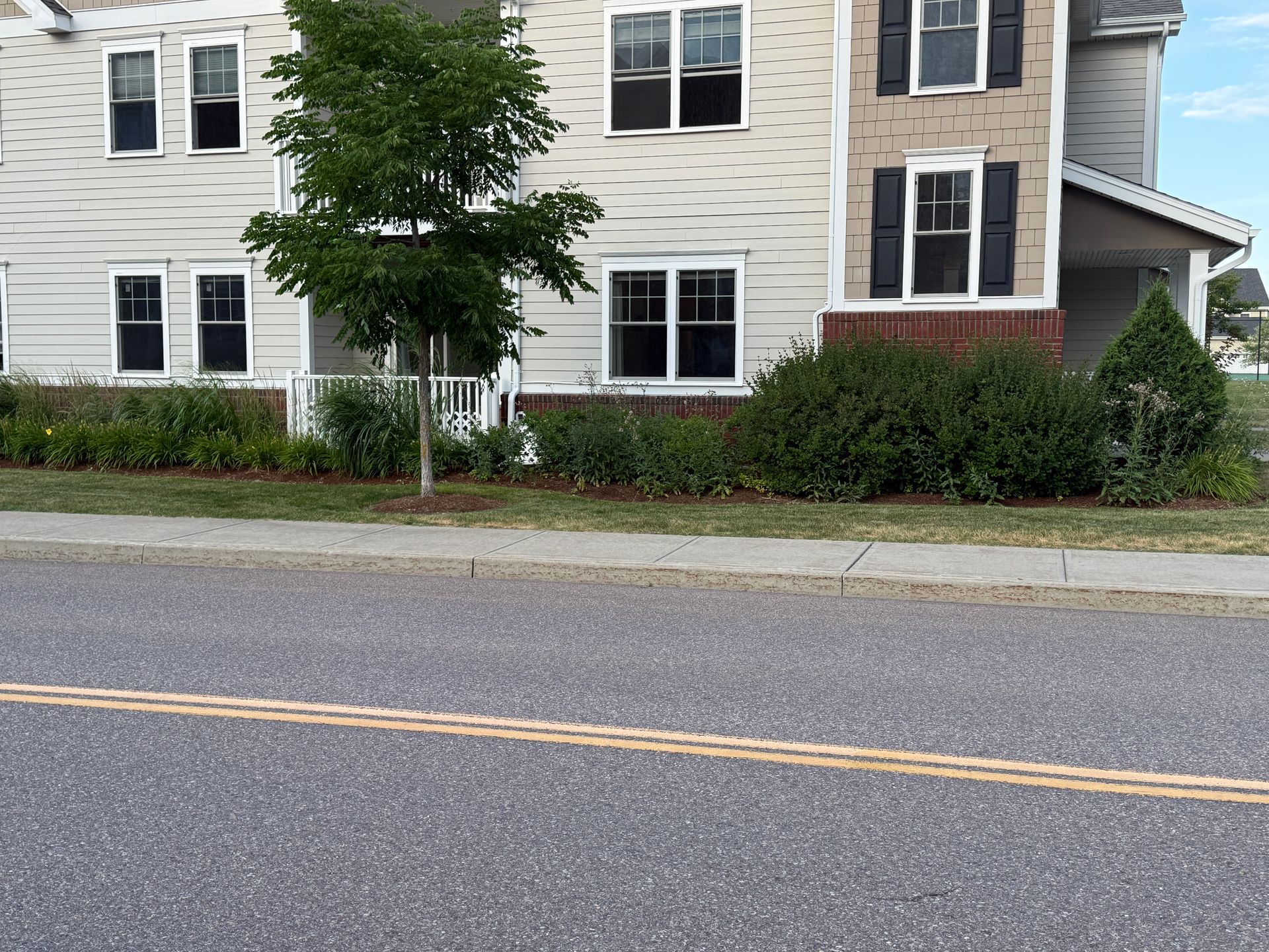 Apartment building with white siding, black windows, shrubs, and a tree beside a road