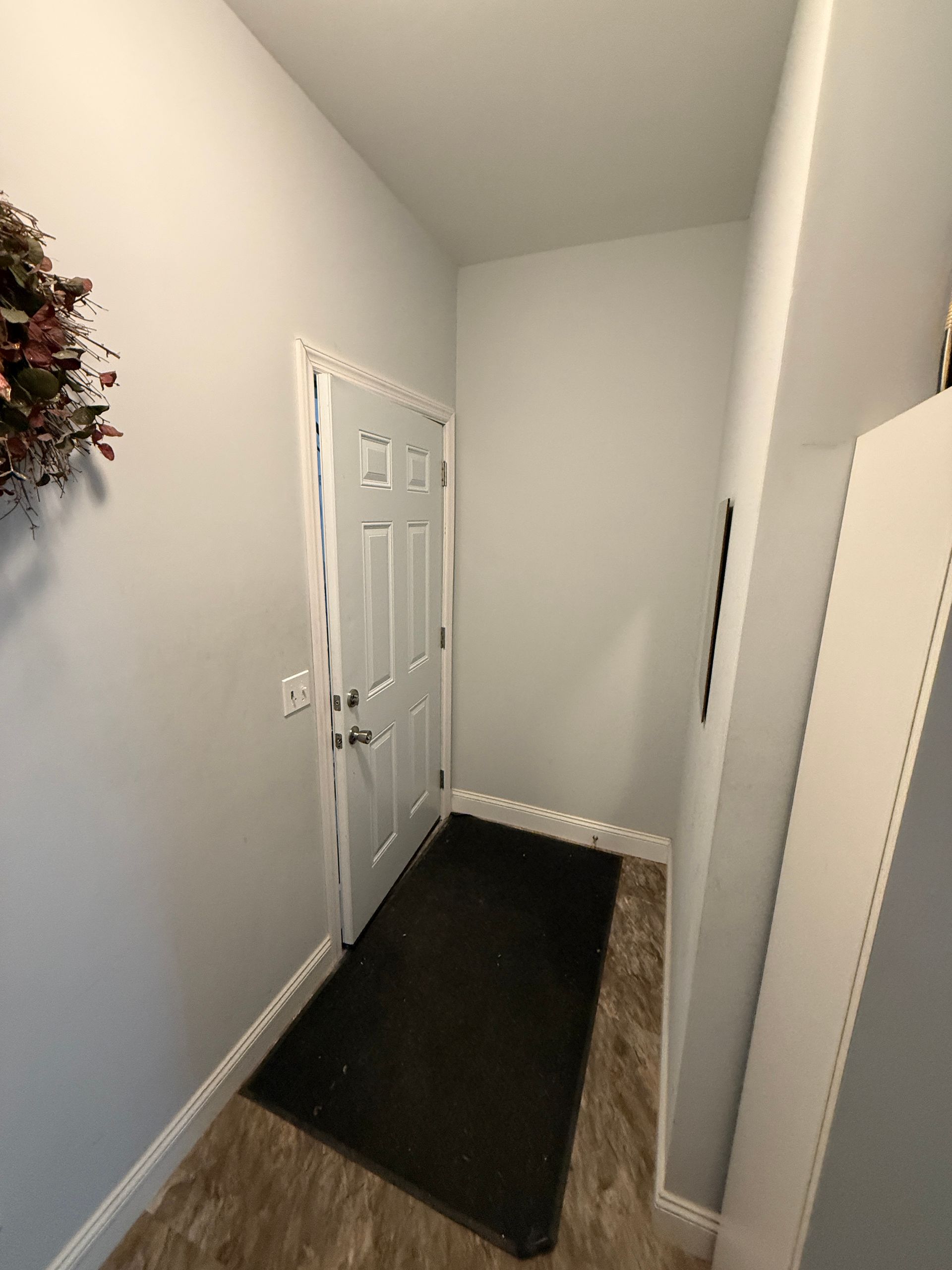 Narrow hallway with white walls, black rug, and a white front door at the end.