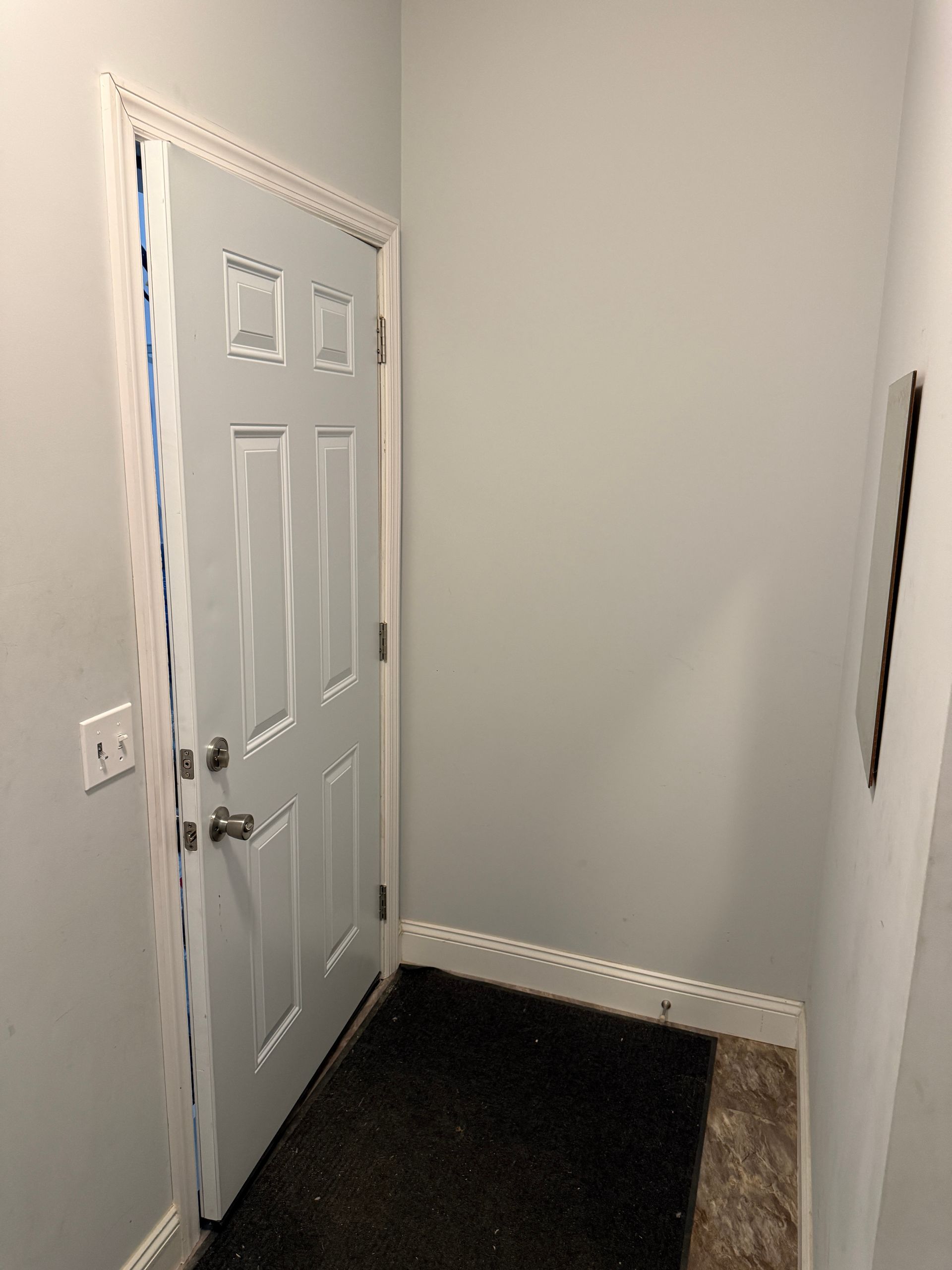 Small entryway with a white front door, beige walls, and a dark rug on the floor.