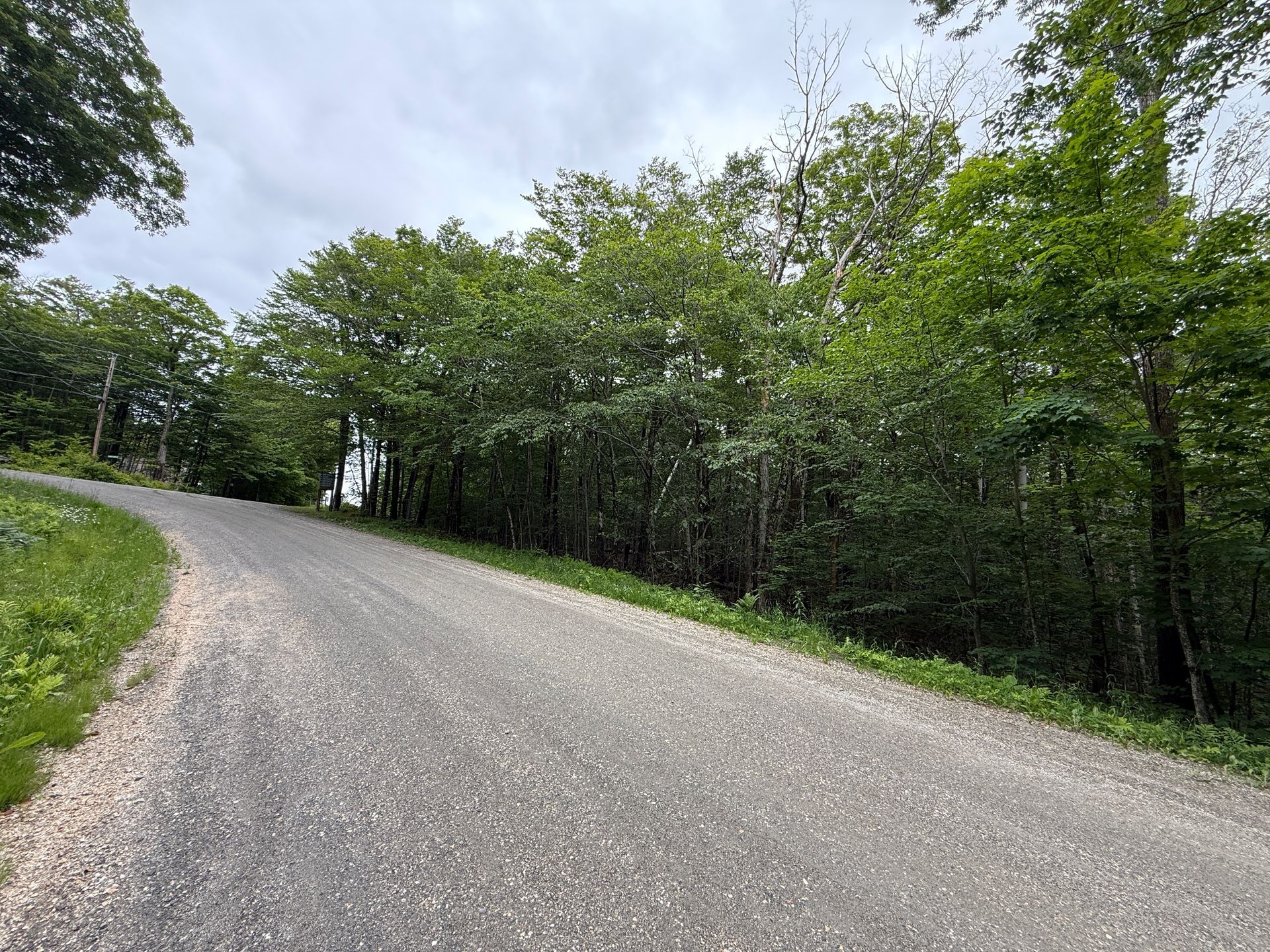 Gravel road curving uphill through a green wooded area under a cloudy sky