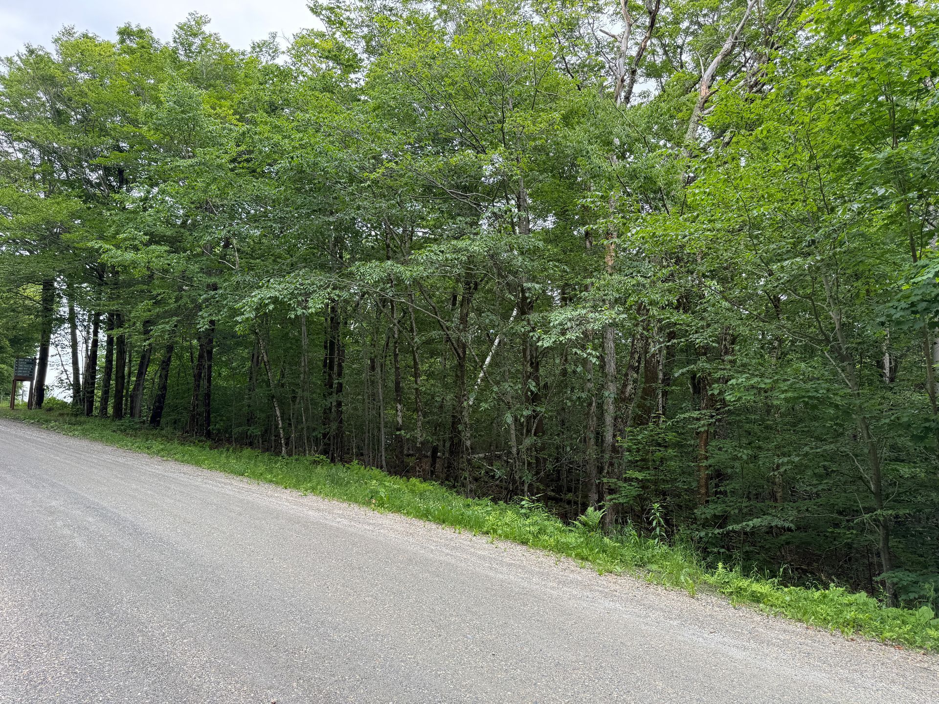 Gravel road beside a dense green forest under overcast light