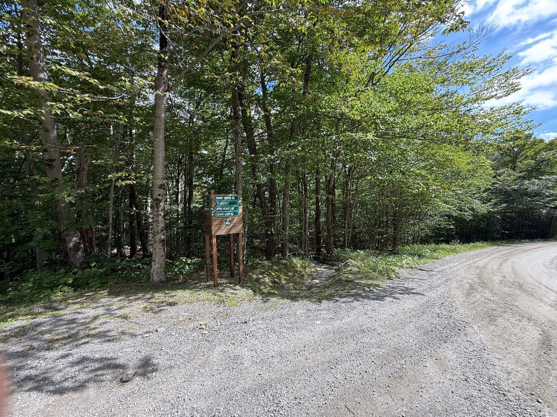 Gravel road curving past a wooded trail sign in a sunny forest clearing