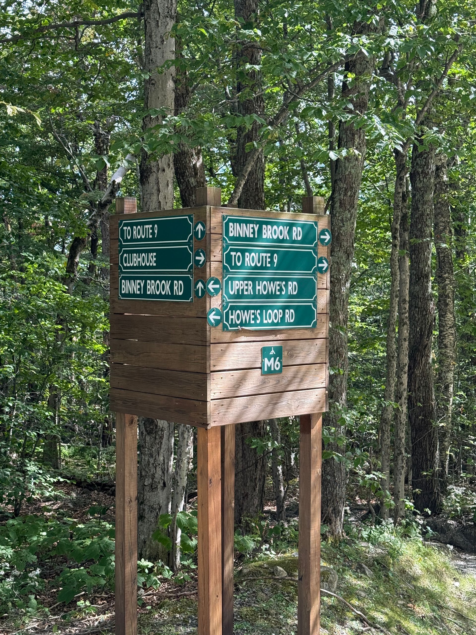 Wooden trail signpost with green direction boards in a forest clearing