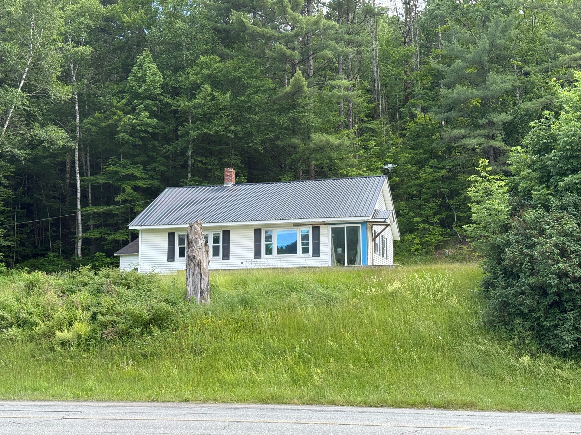 Small white house with a blue roof in a grassy clearing, surrounded by dense green trees.