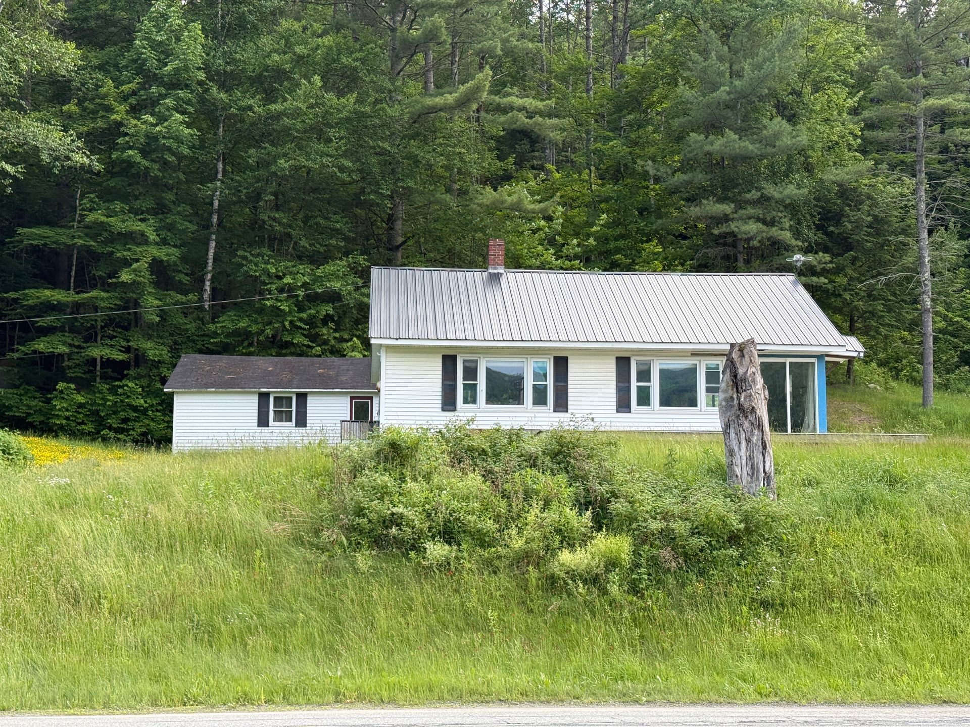 Small white house with a metal roof in a grassy clearing, backed by dense green trees.