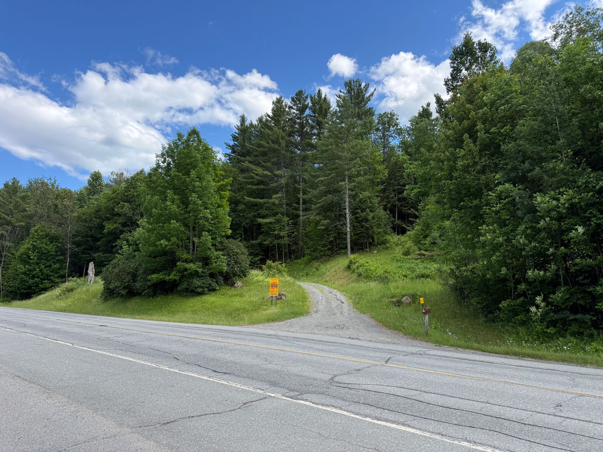 Gravel road curving into a green forest under a bright blue sky with clouds
