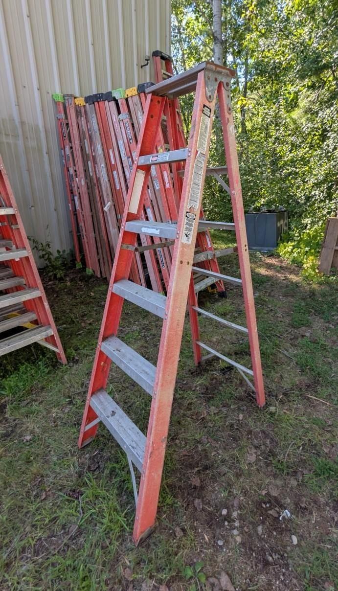 Red A-frame ladder in a grassy backyard beside a wooden fence and trees