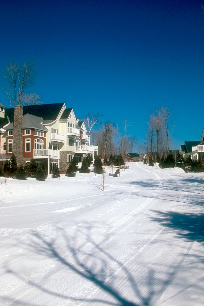 Snow-covered street lined with houses on a bright, sunny day.