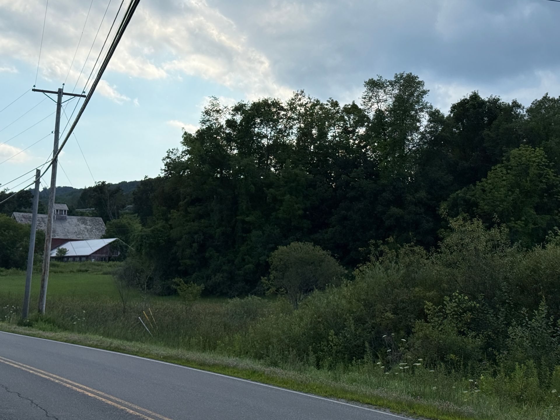 Rural roadside with utility poles, trees, and a small white building beside the road.