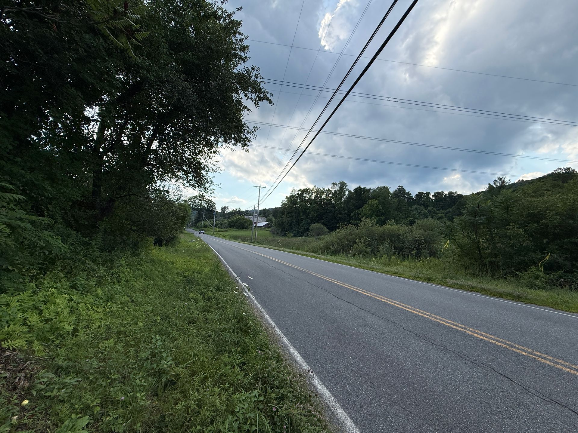 Empty rural road curving through green trees under a cloudy sky with power lines overhead