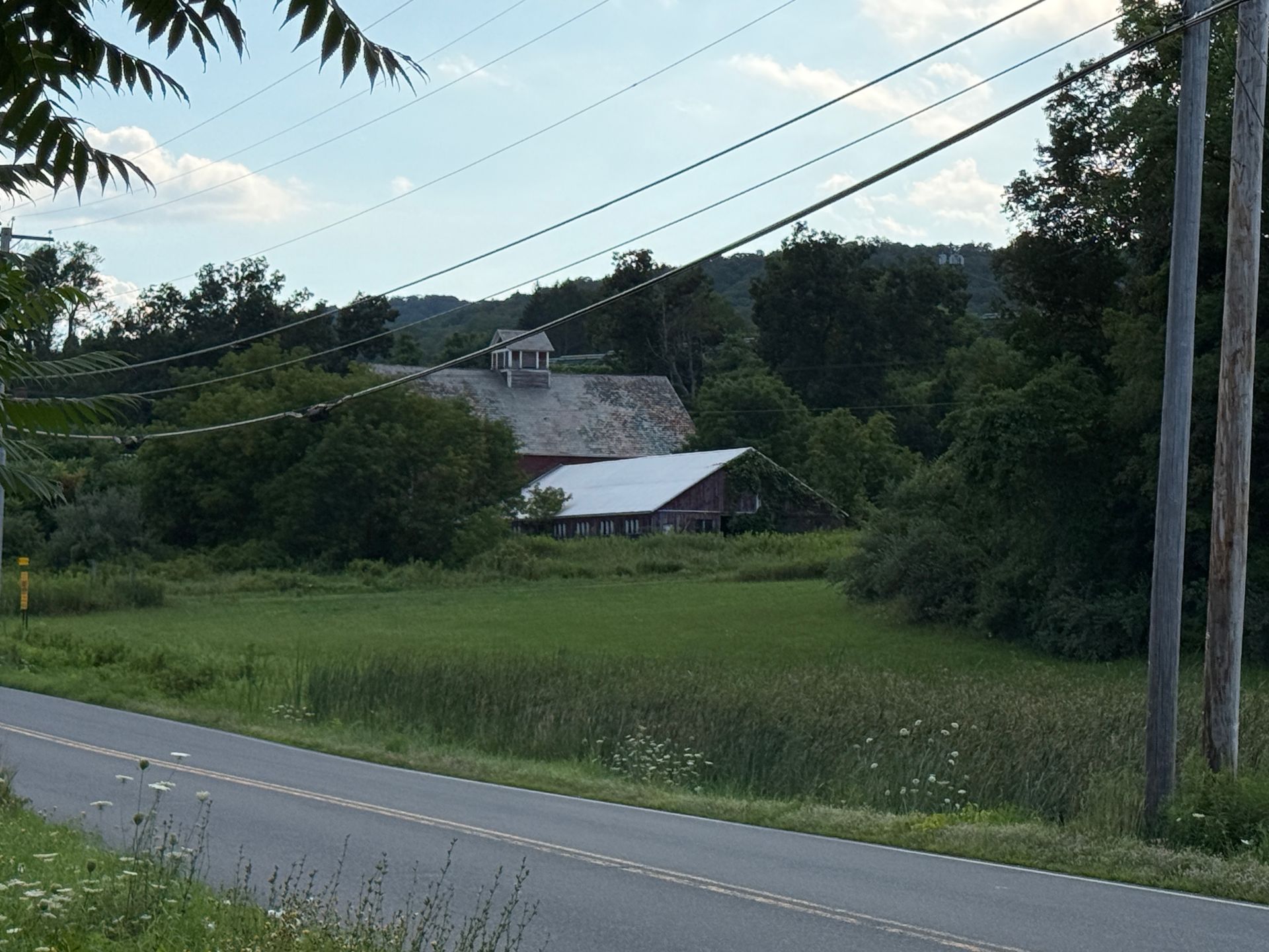 Rural road beside grassy field with a barn and trees under overcast sky