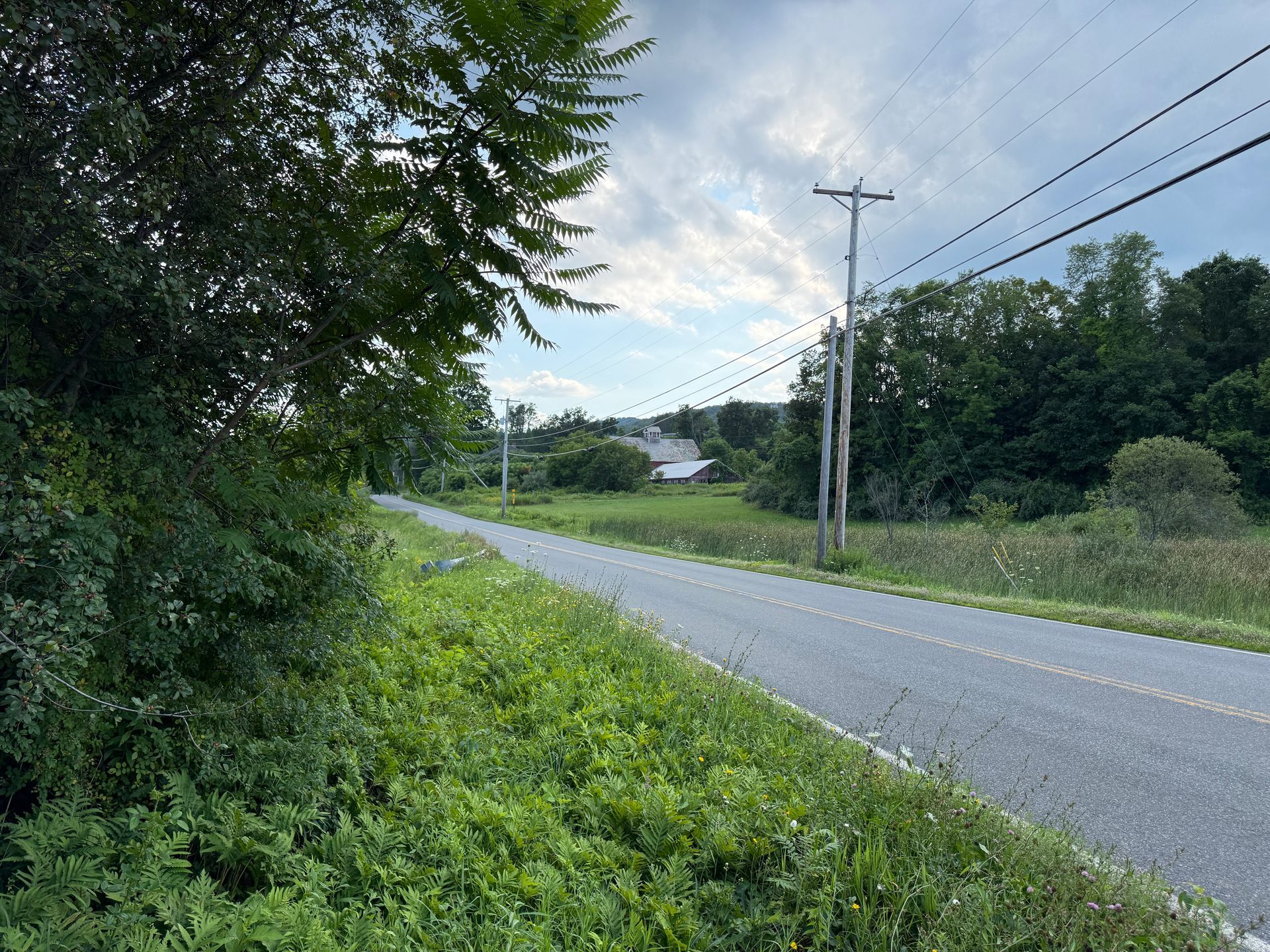 Rural roadside with green vegetation, power lines, and a gray road under a cloudy sky
