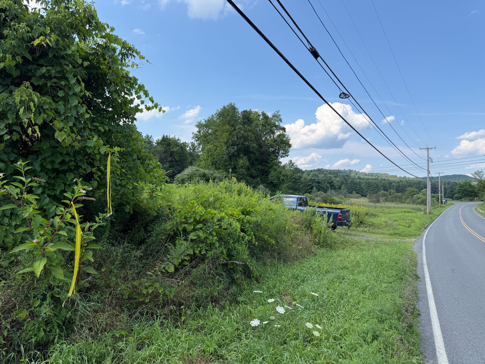 Rural roadside with green bushes, utility poles and power lines beside a curving paved road under a blue sky.
