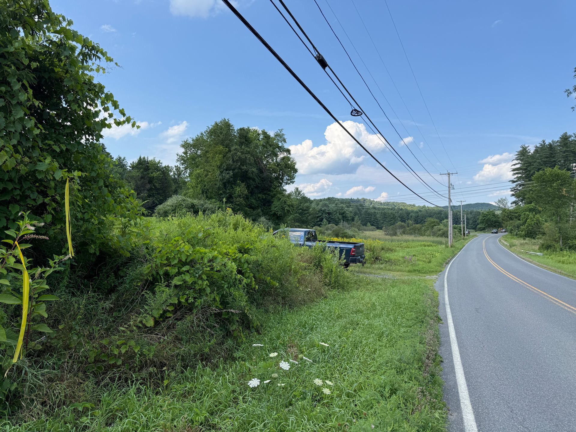 Rural roadside with green grass, power lines, and a curving paved road under a blue sky