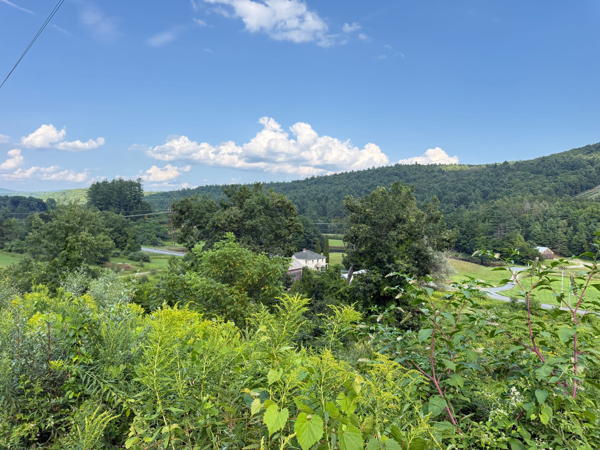 Lush green hills and trees under a bright blue sky with clouds, seen from a rural hillside.