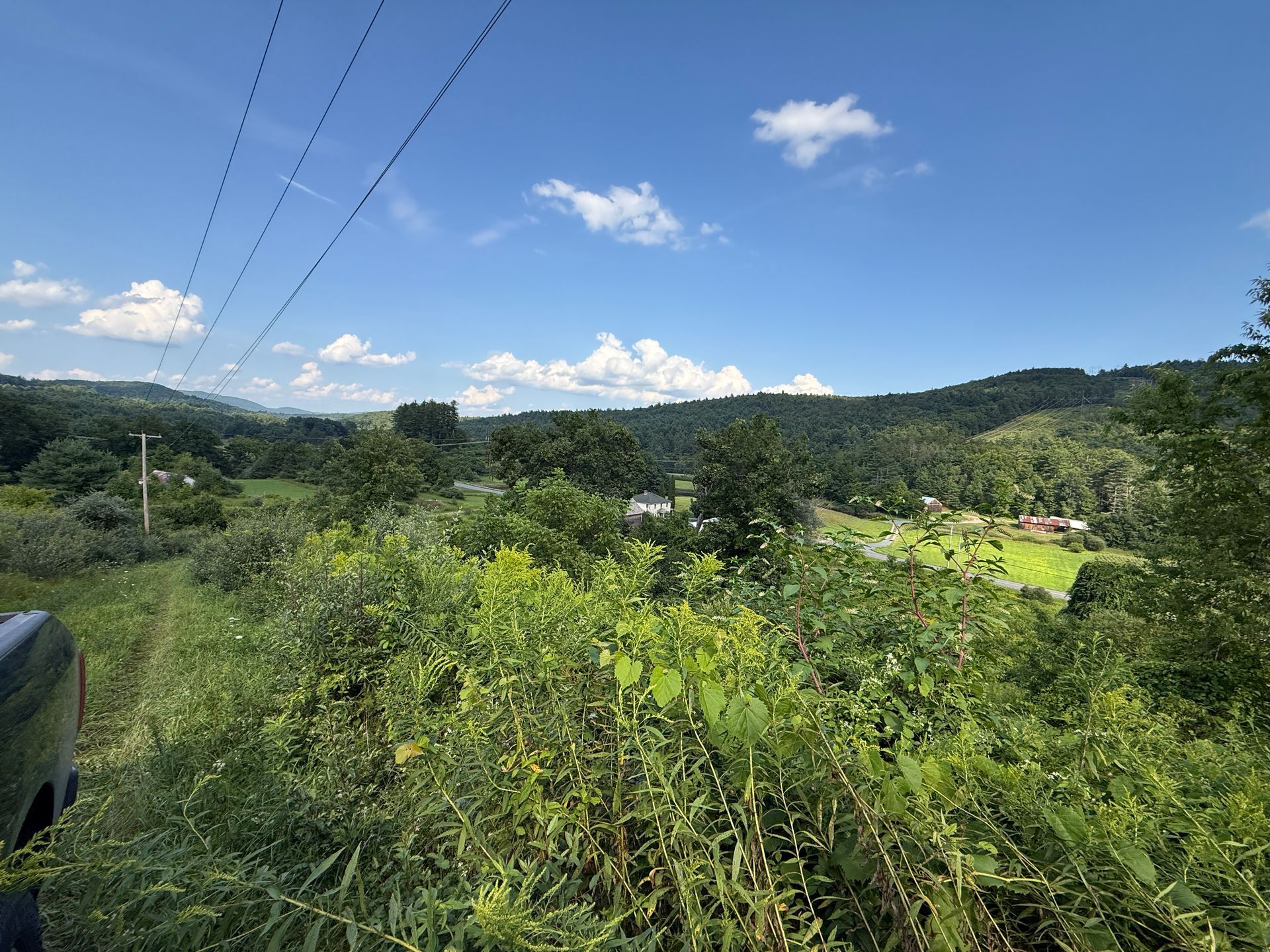 Green hills and dense foliage under a bright blue sky with scattered clouds