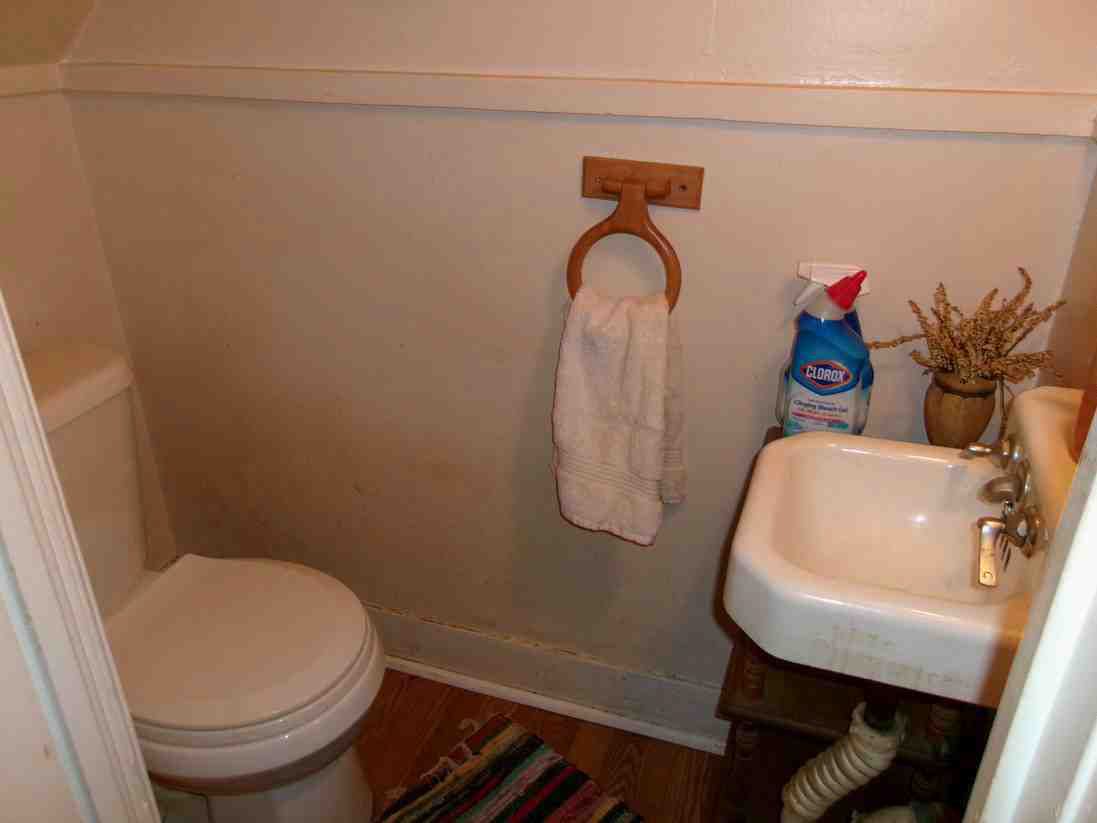 Small bathroom with toilet, wall-mounted towel ring, and sink holding cleaning supplies.