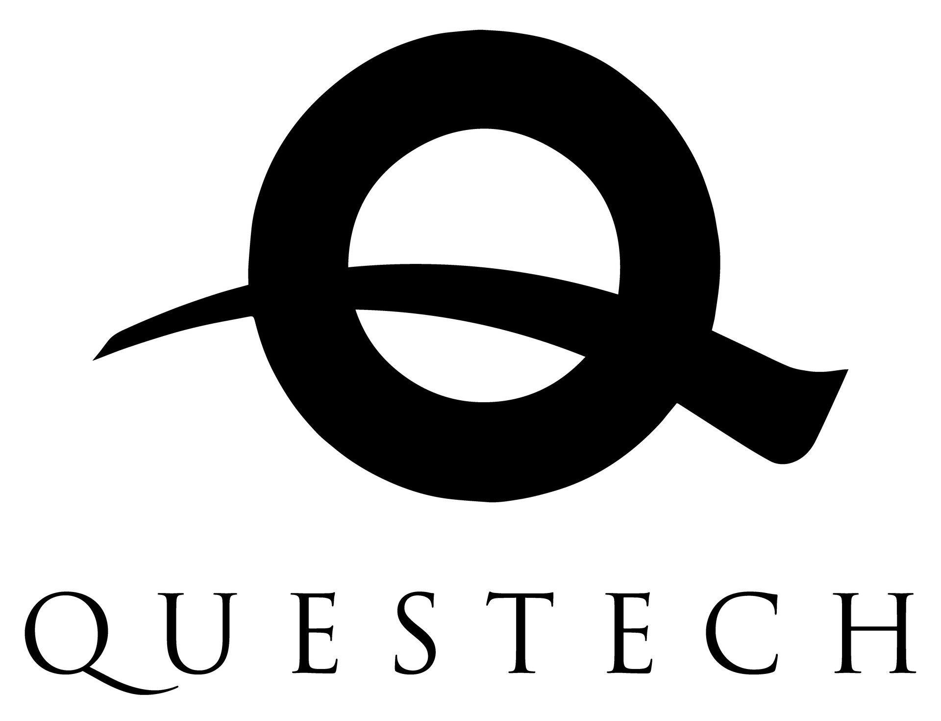 Black logo: large 