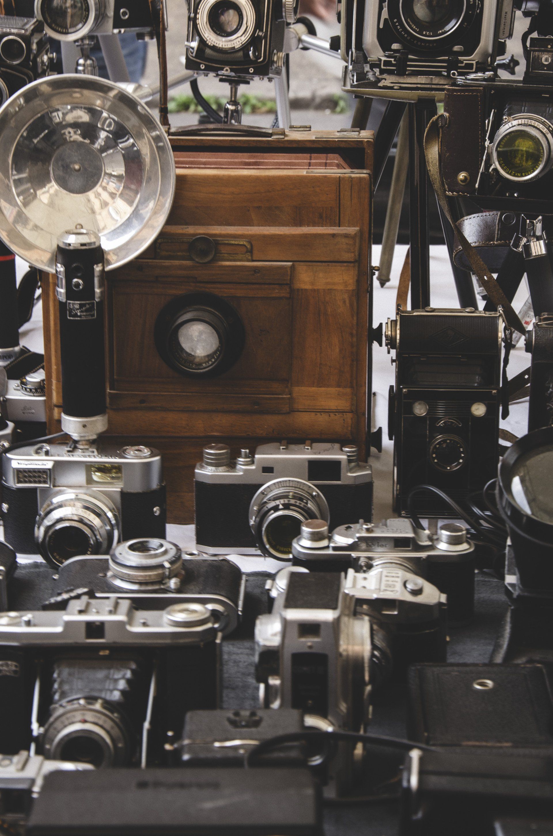 Collection of vintage cameras displayed on a table. Various shapes, sizes, and colors.