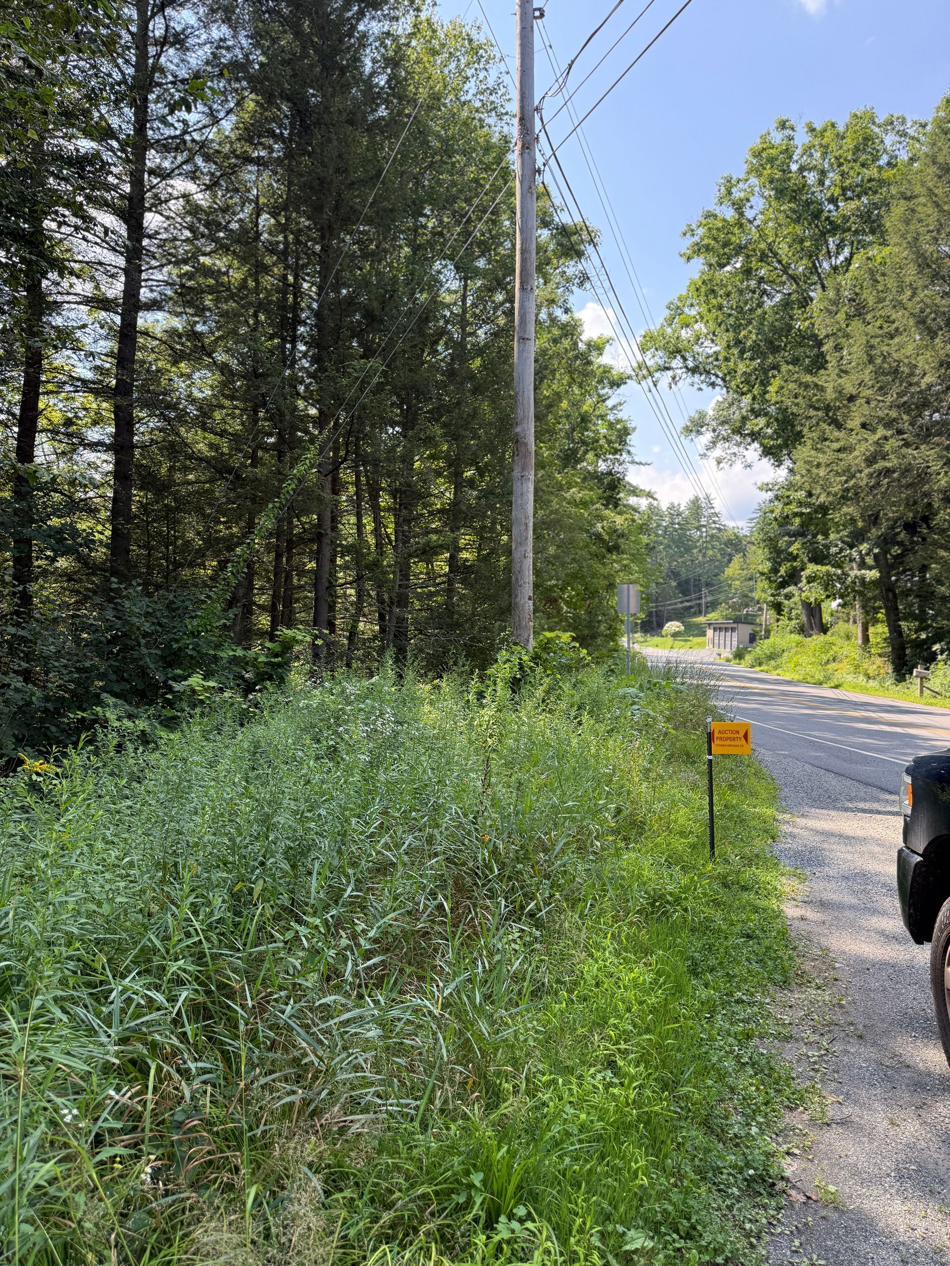 Gravel roadside beside dense green woods, with a utility pole and a small orange sign near the edge of the road