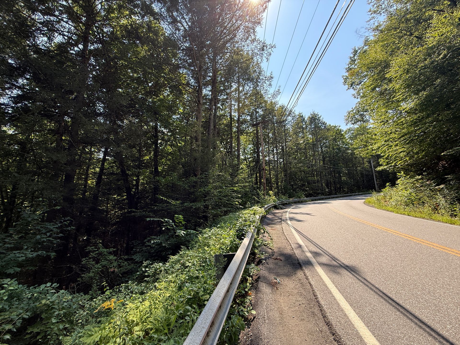 Curving rural road beside dense forest, with guardrail and bright sunlight overhead