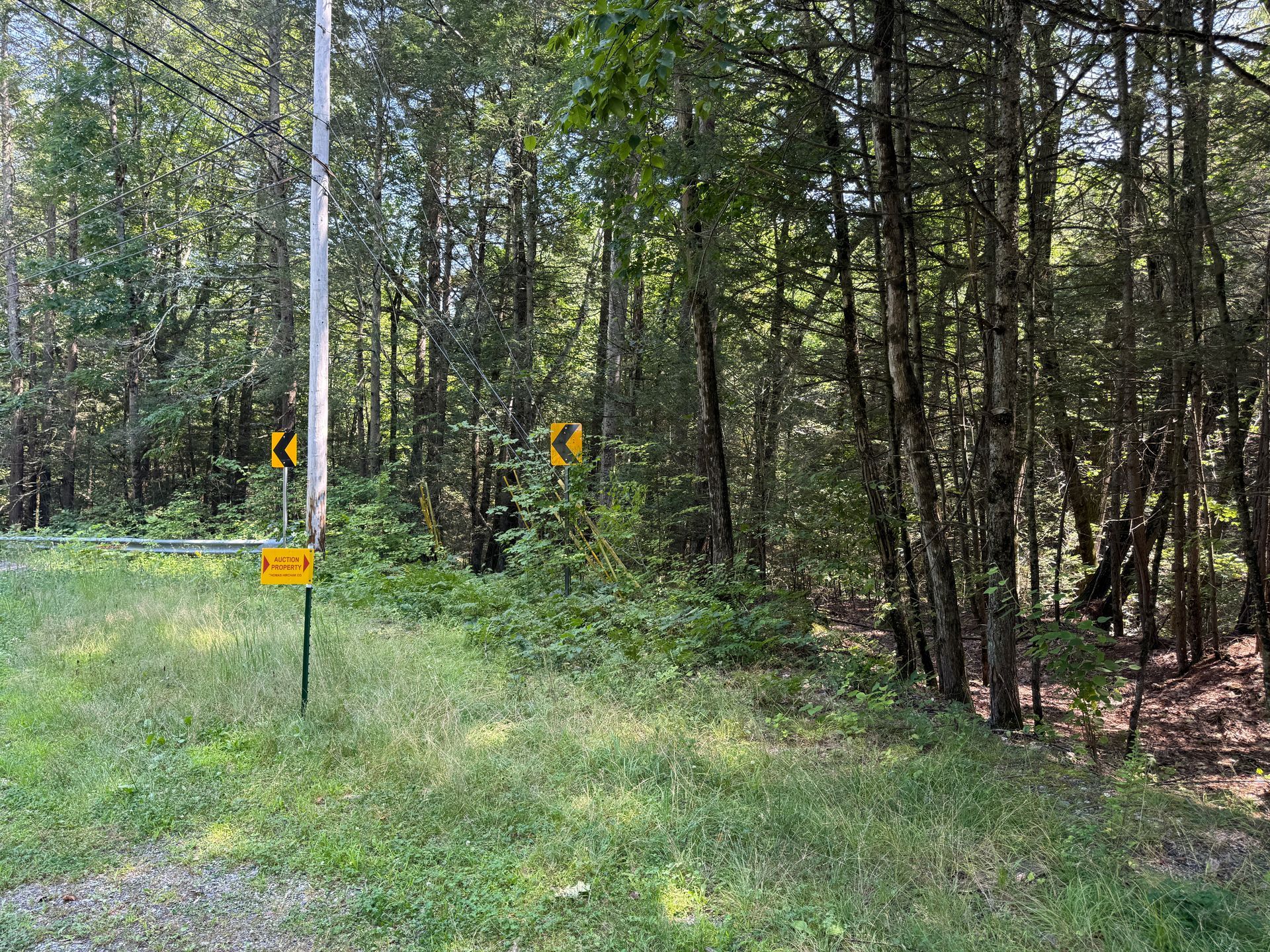 Wooded trail with yellow warning signs along a grassy roadside.