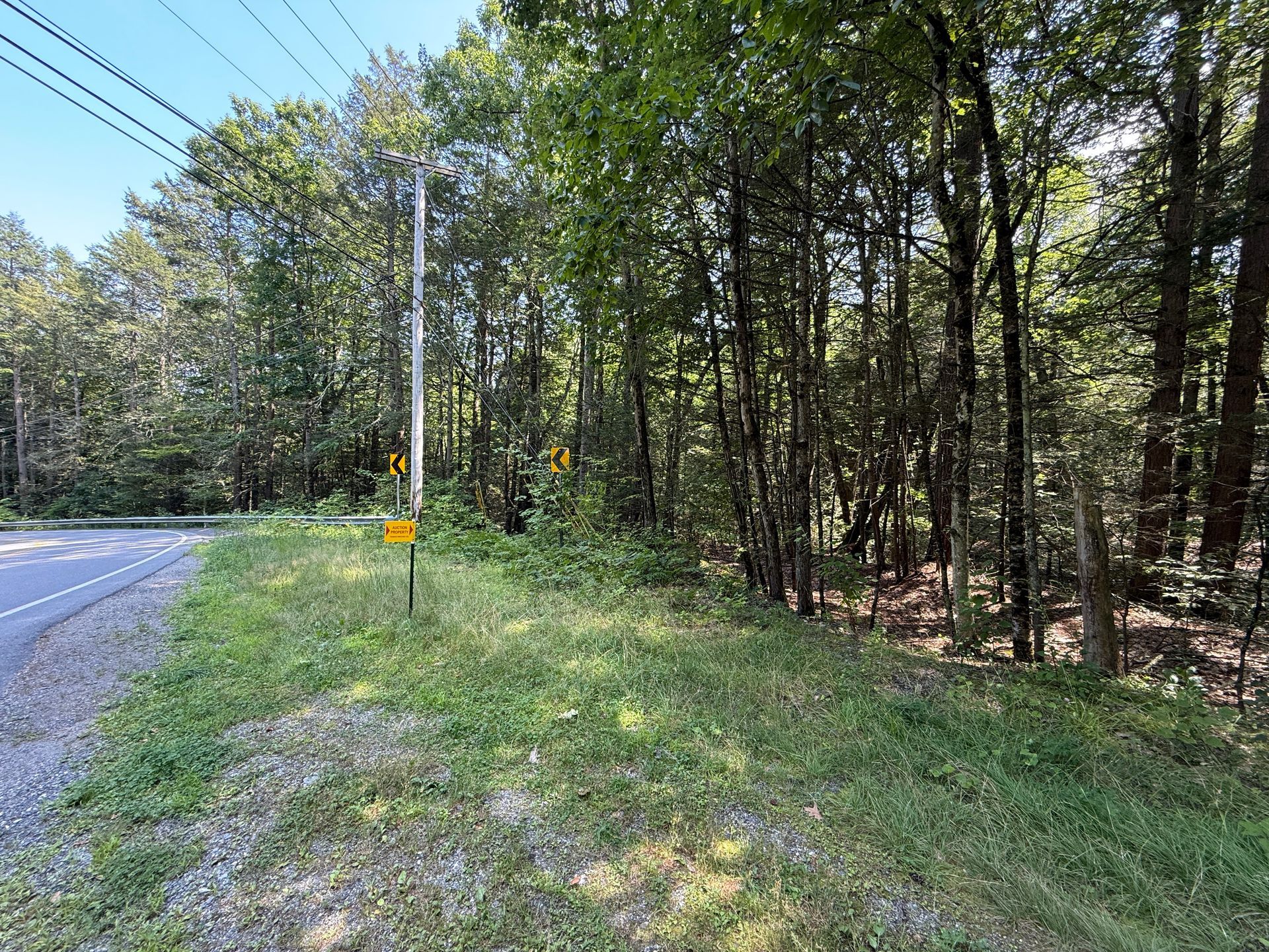 Wooded roadside shoulder beside a gravel road, with power lines and a small yellow sign.