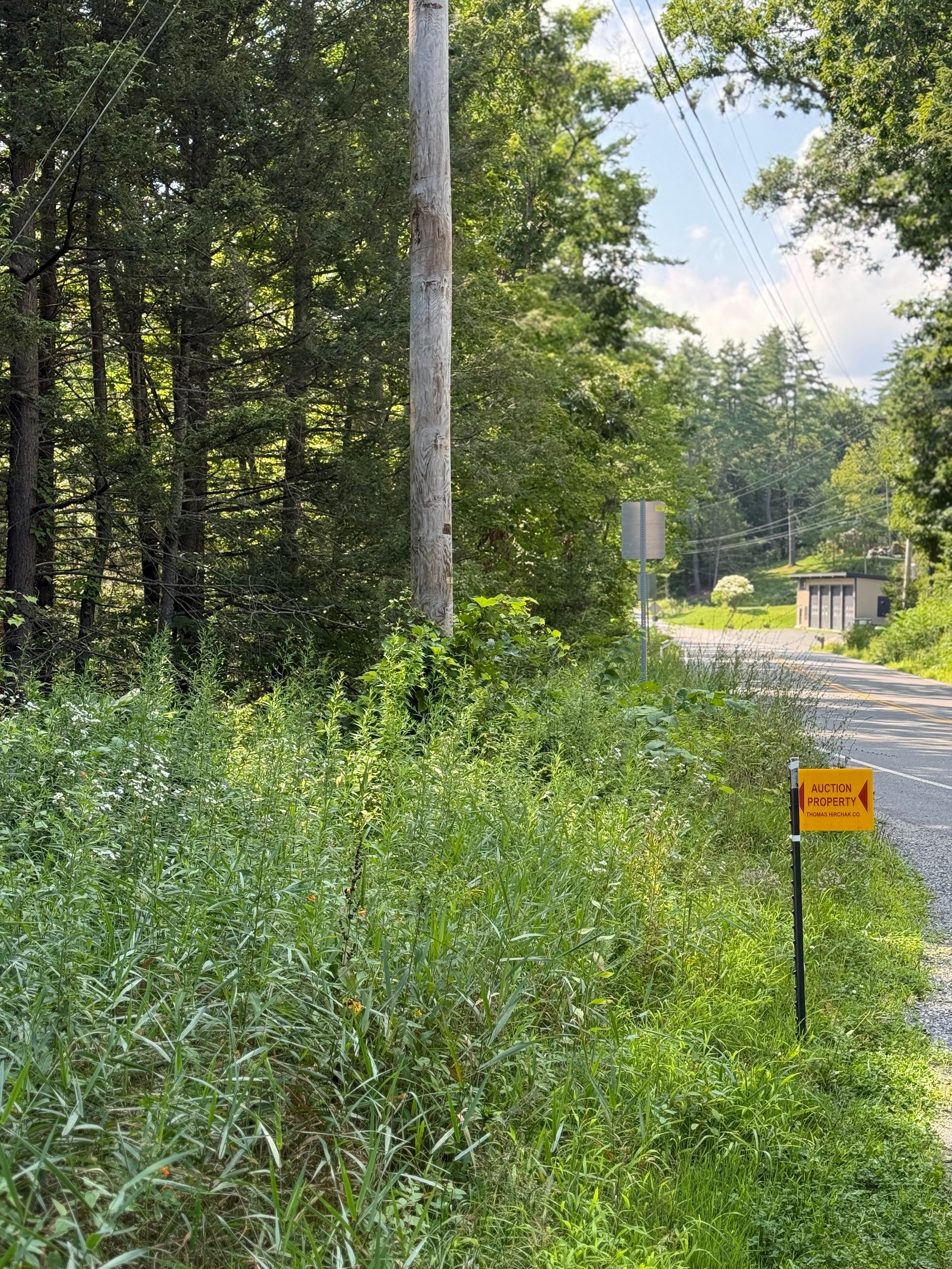 Wooded roadside trail with tall grass and a small orange warning sign near a gravel path
