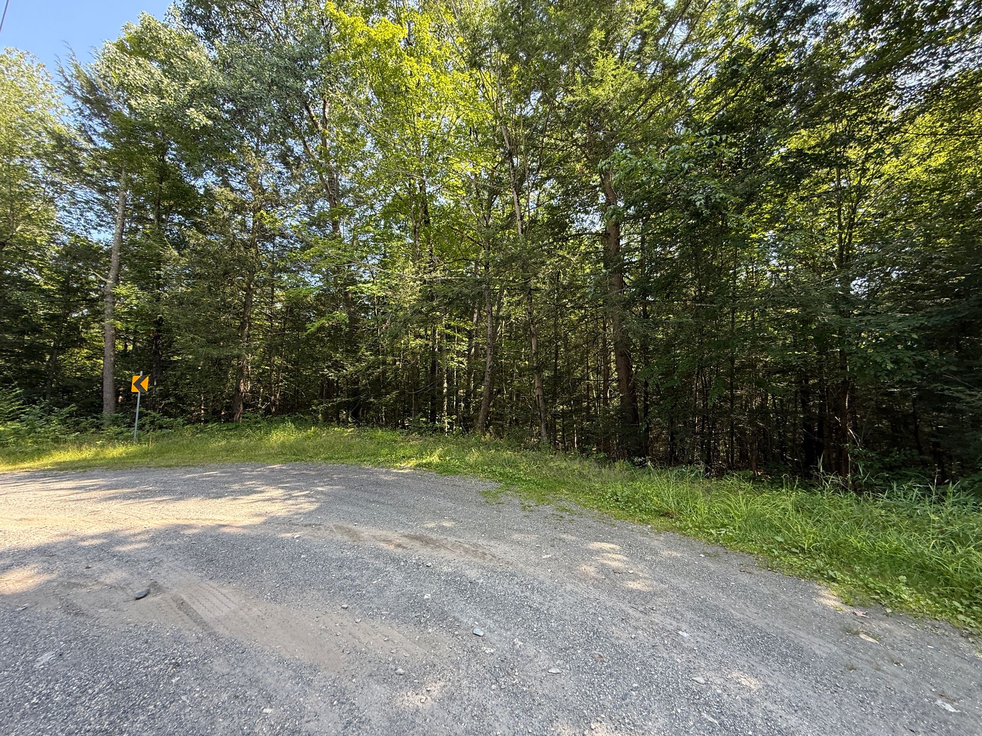 Gravel road beside dense green trees and grass under bright daylight