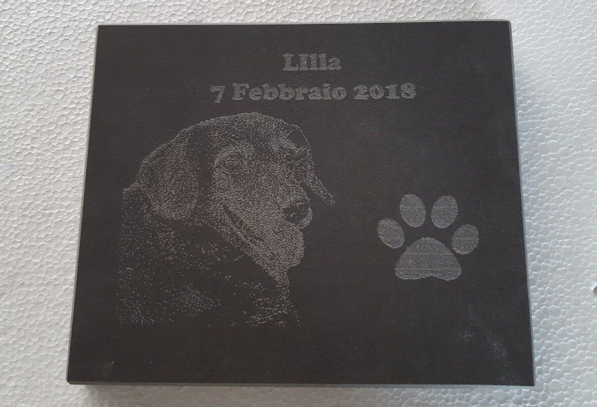 targhe per animali