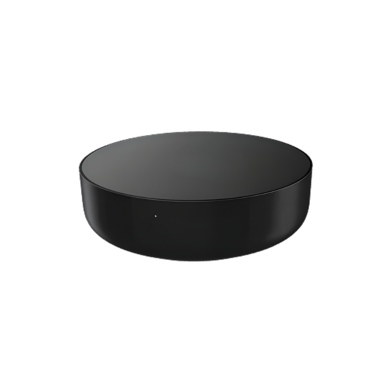 Objet noir, circulaire, en forme de palet, à surface lisse et réfléchissante.