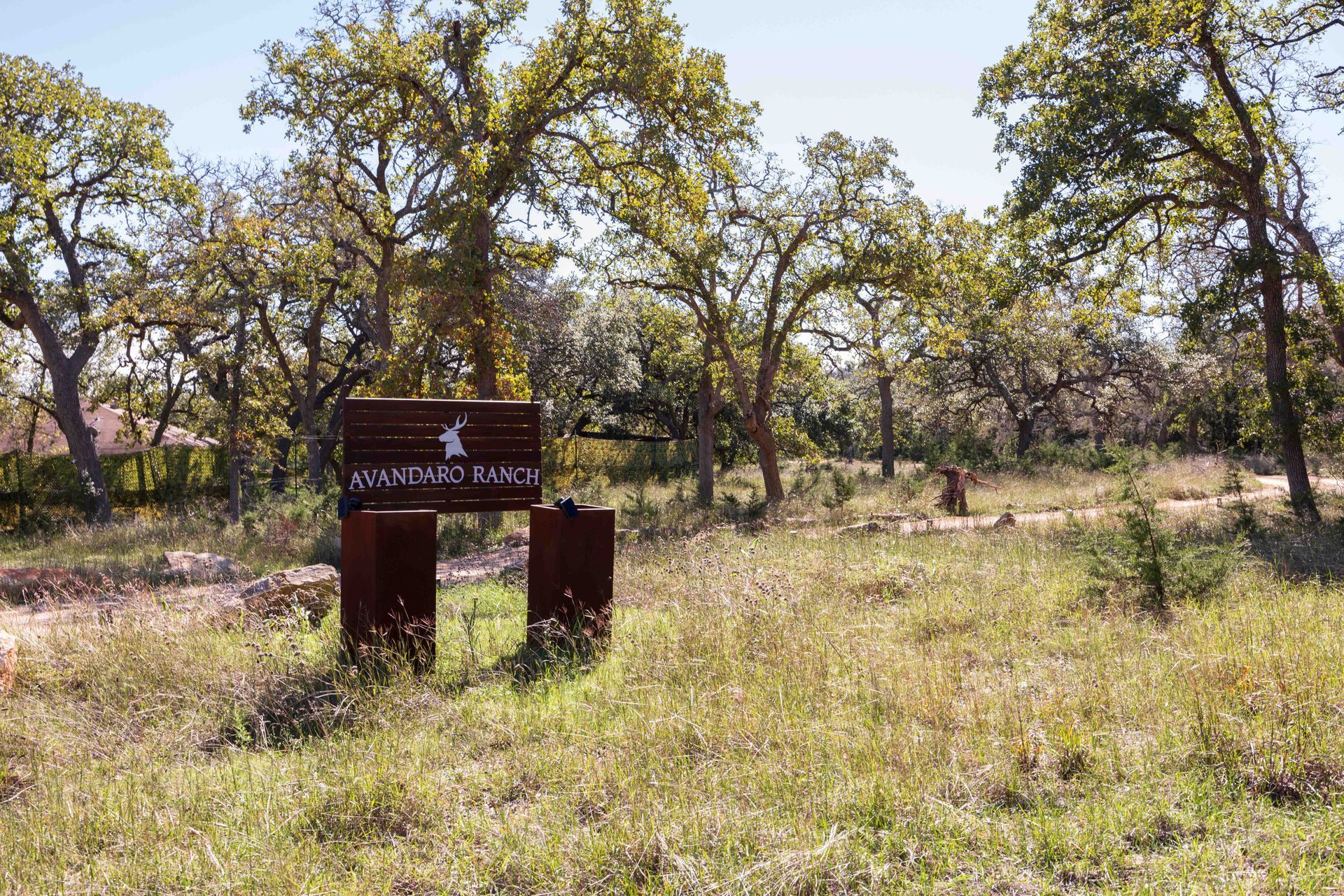 Avandaro Ranch entrance sign beneath mature Hill Country oak trees