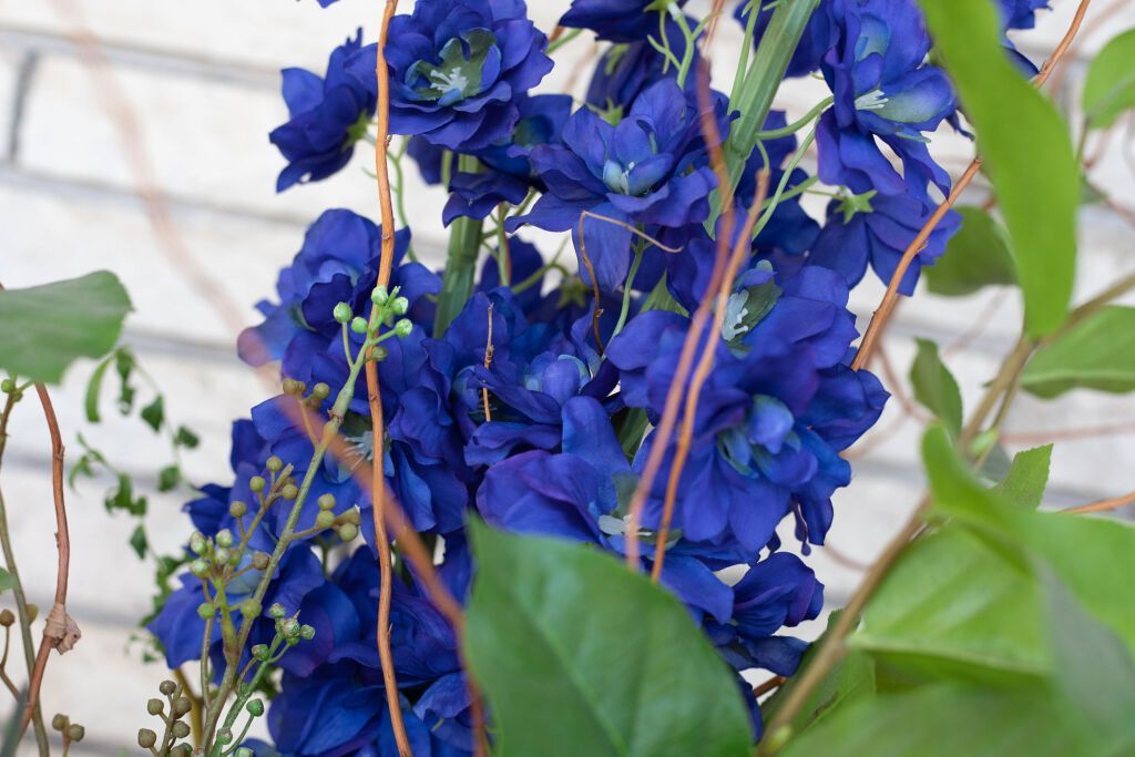 Blue delphinium flowers with green foliage and brown vines against a white brick wall.